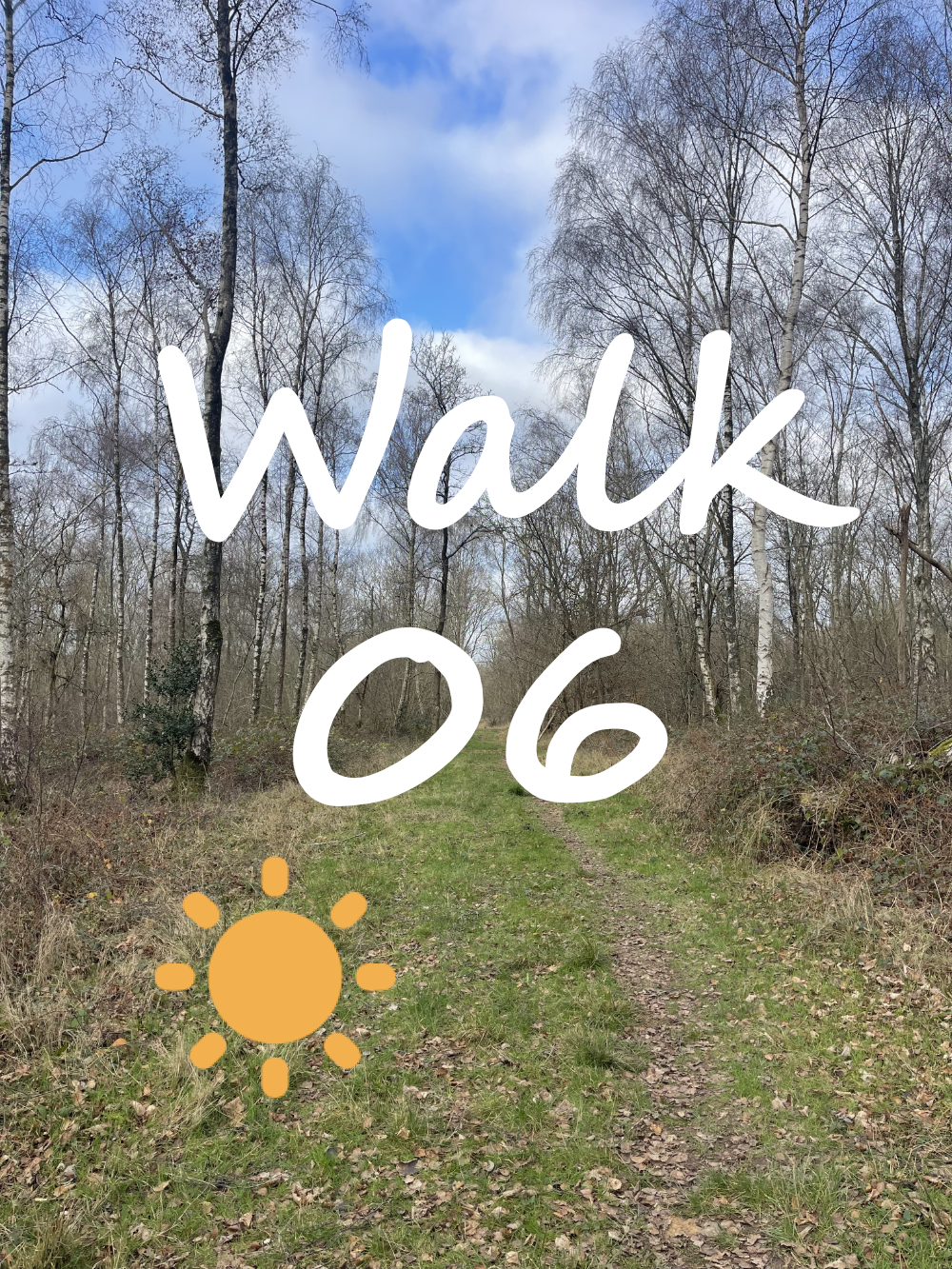 Walk 6: Spade Oak, Little Marlow Bloom Wood