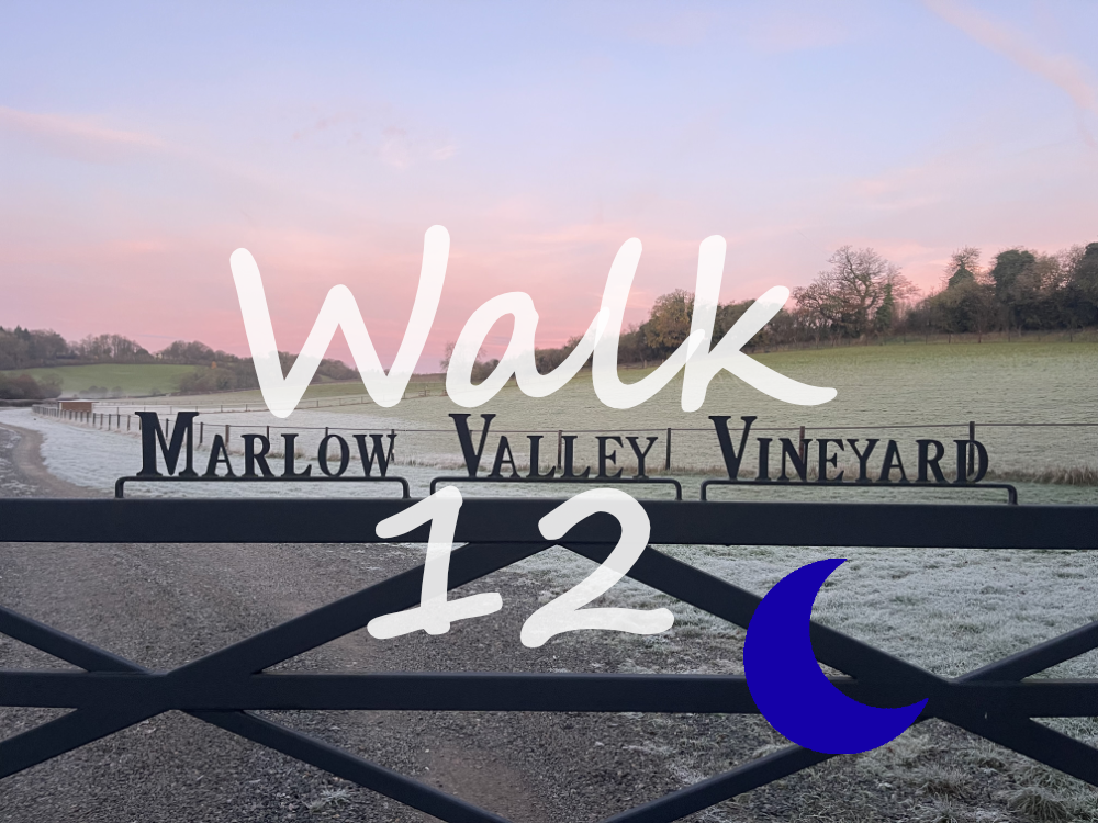 Walk 12: Mundaydean, Marlow Common, Bovingdon Green