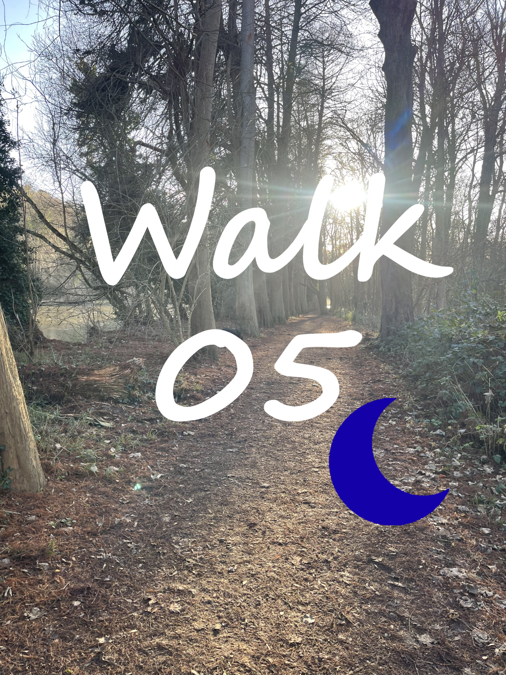 Walk 5: Cookham and Boulters Lock