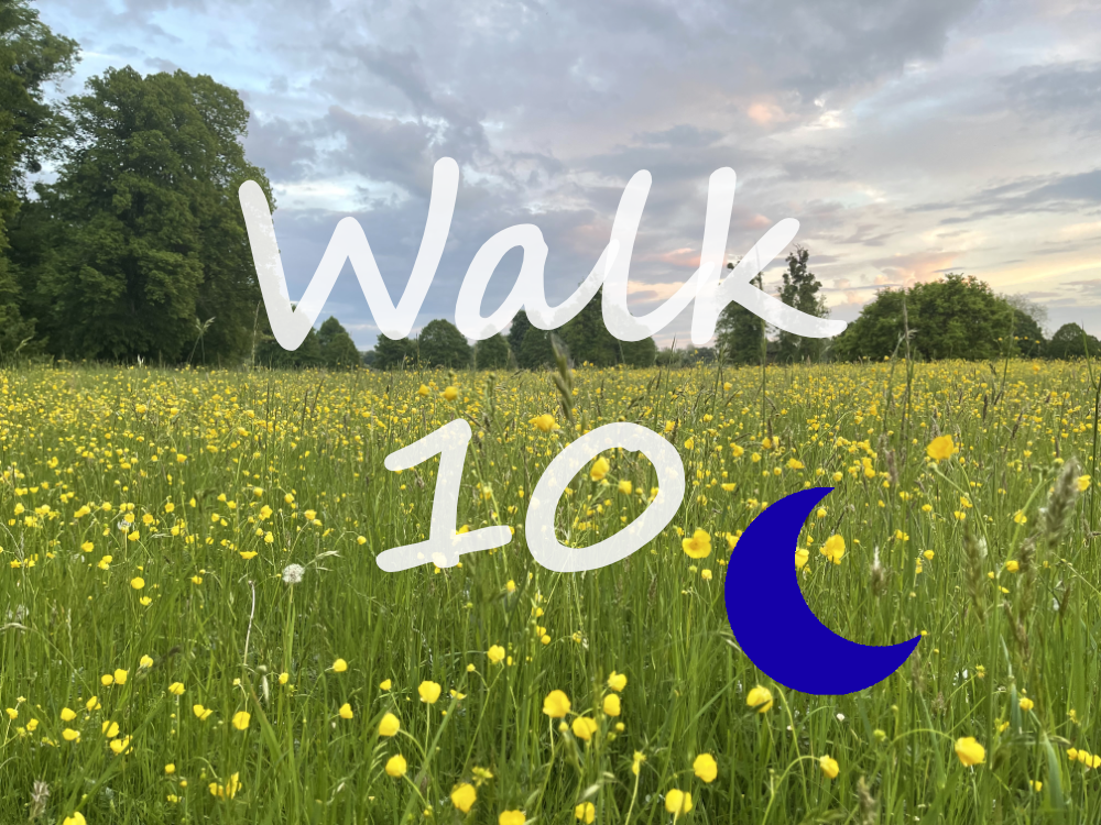 Walk 10: Marlow, Harleyford and Pullingshill Wood