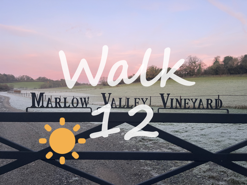 Walk 12: Mundaydean, Bovingdon Green, Marlow Common