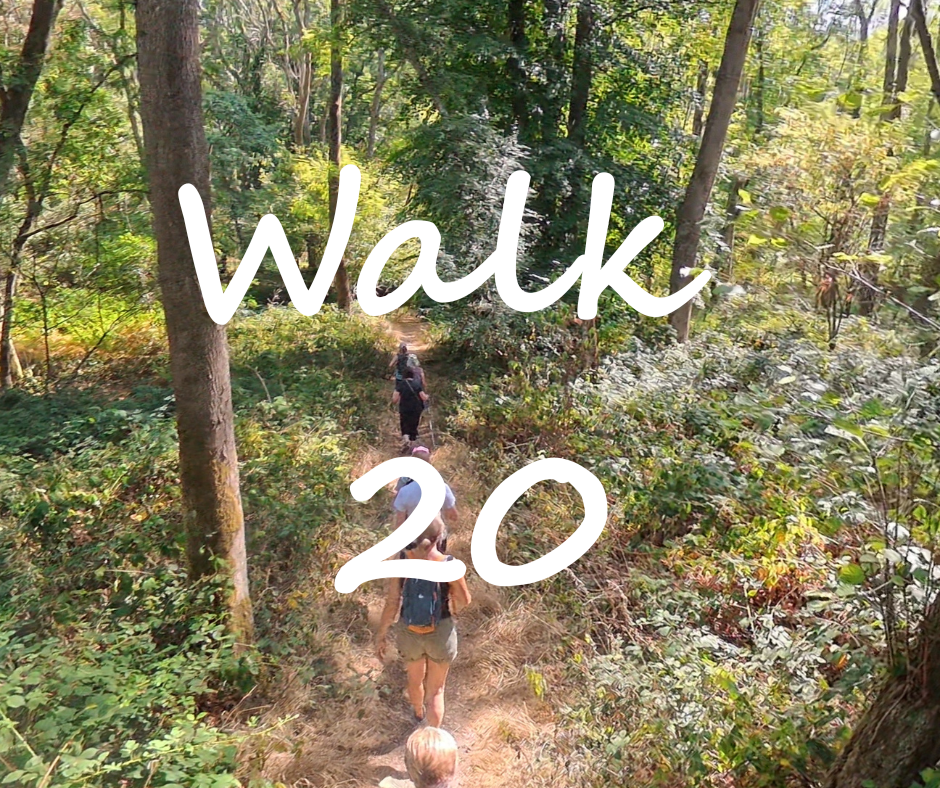 Walk 20: Knowl Hill and Warren Row