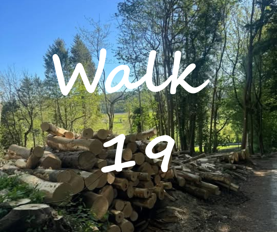 Walk 19: Hambleden and Pheasants Hill 