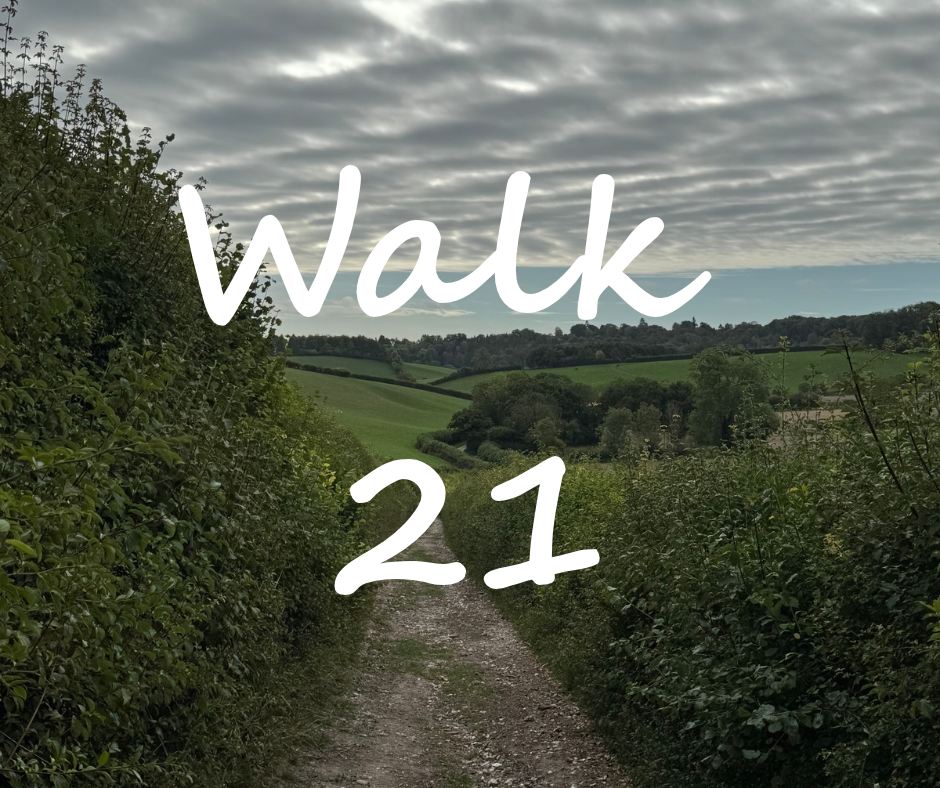 Walk 21: Bolter End, Little Frieth and Skirmett