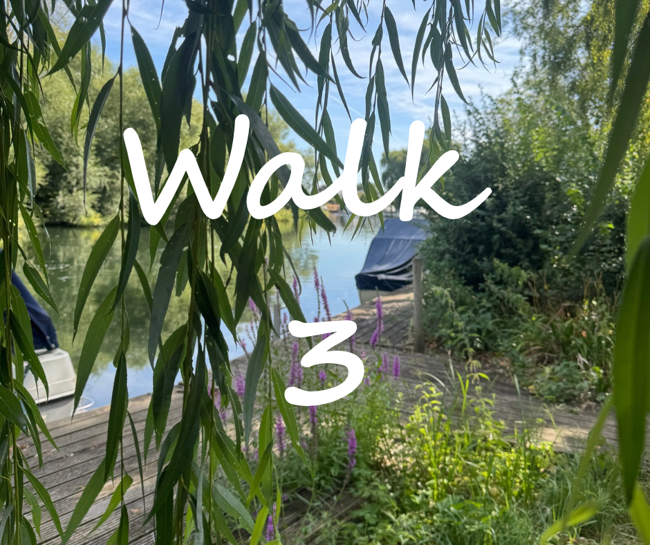 Walk 3: Hurley, Ashley Hill, the Thames
