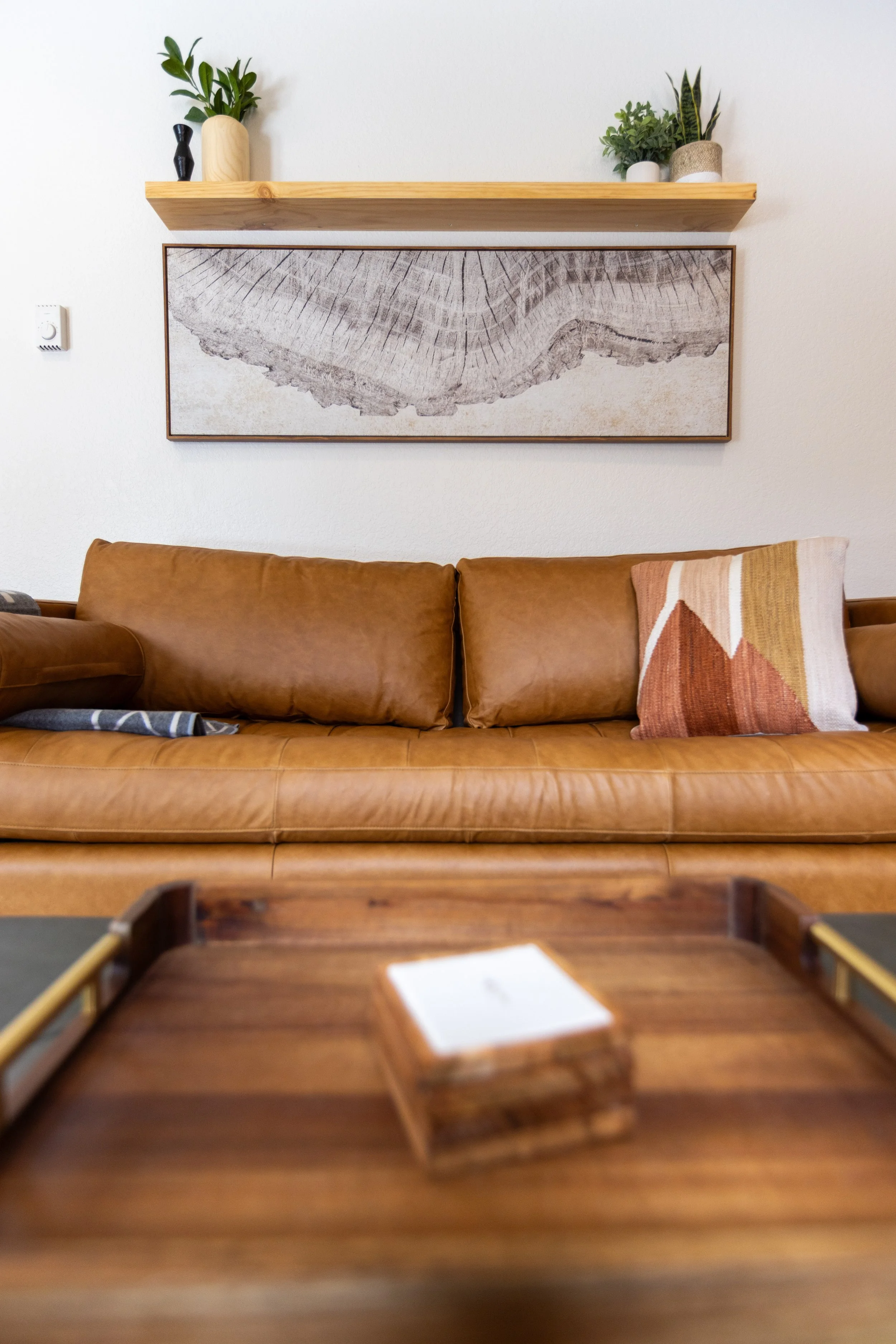 Living room with a tan leather sofa, decorative pillow, wooden coffee table, wall art, and shelf with potted plants.