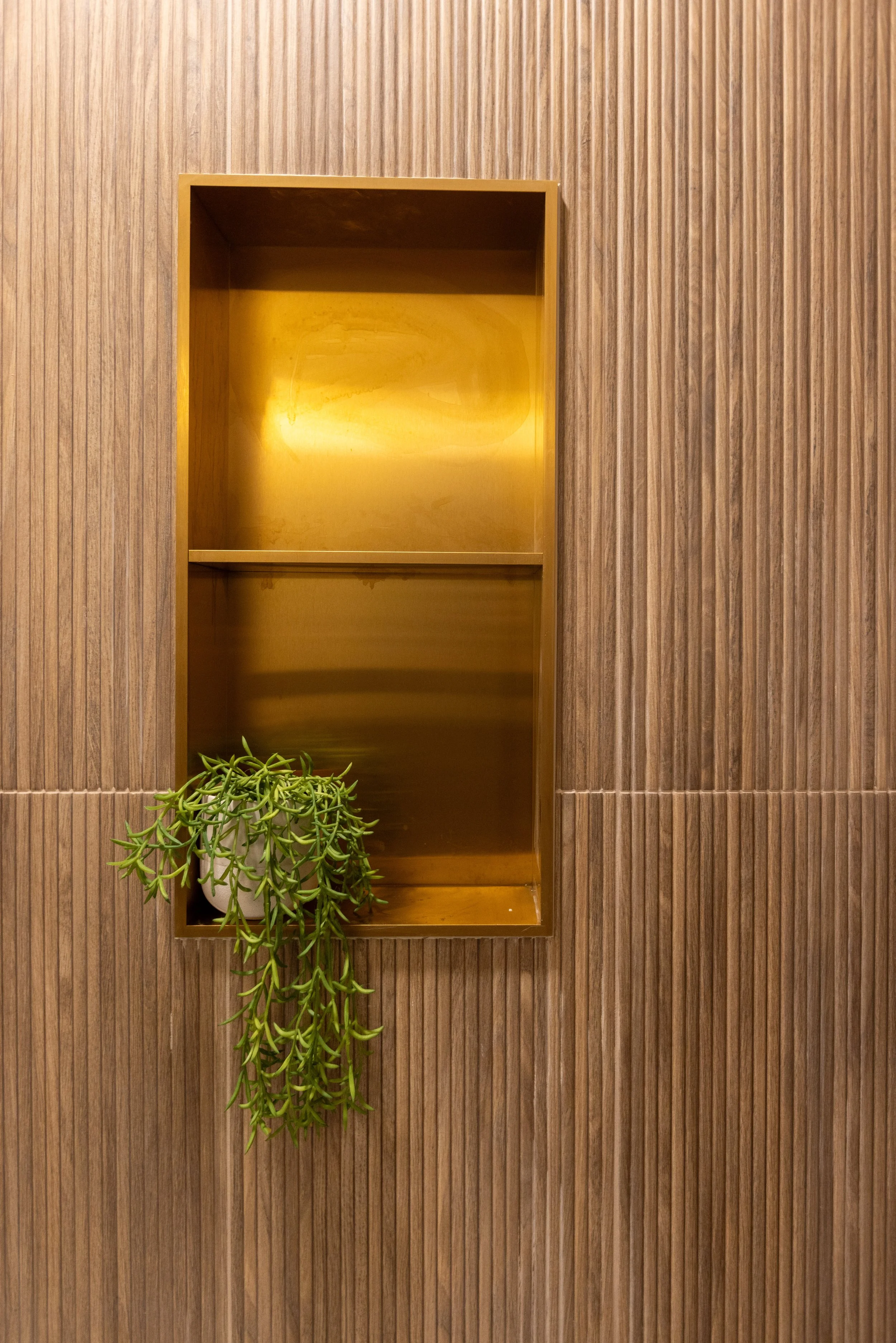 Wooden wall with a gold rectangular shelf, a potted green succulent plant hanging from the shelf.
