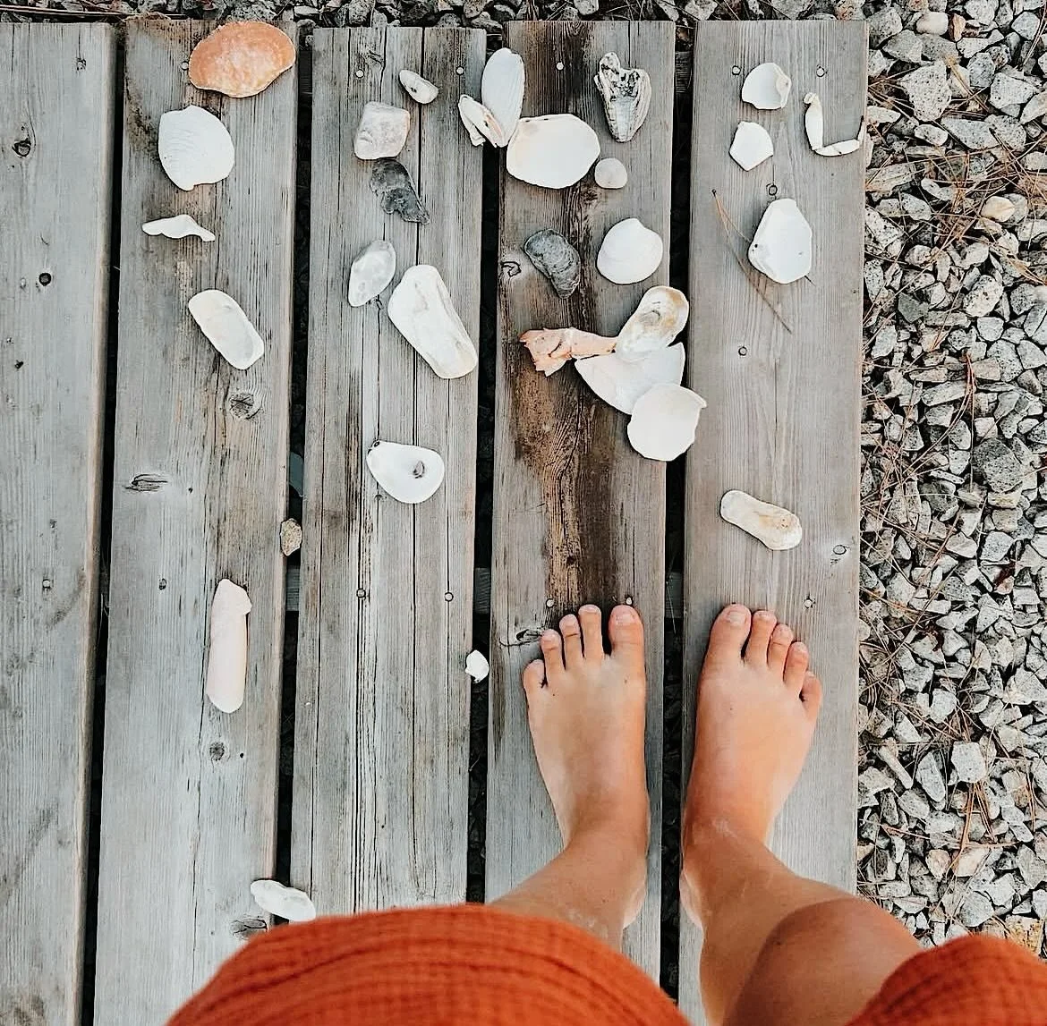 Who else is ready for shell collecting season?