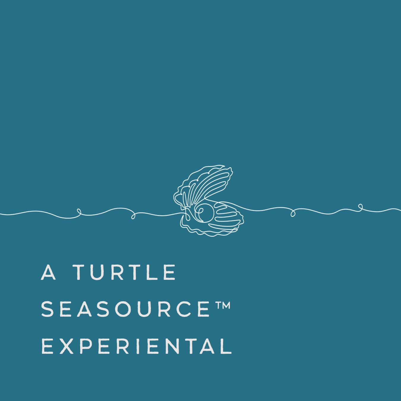 Join us this October for our first SEATREAT