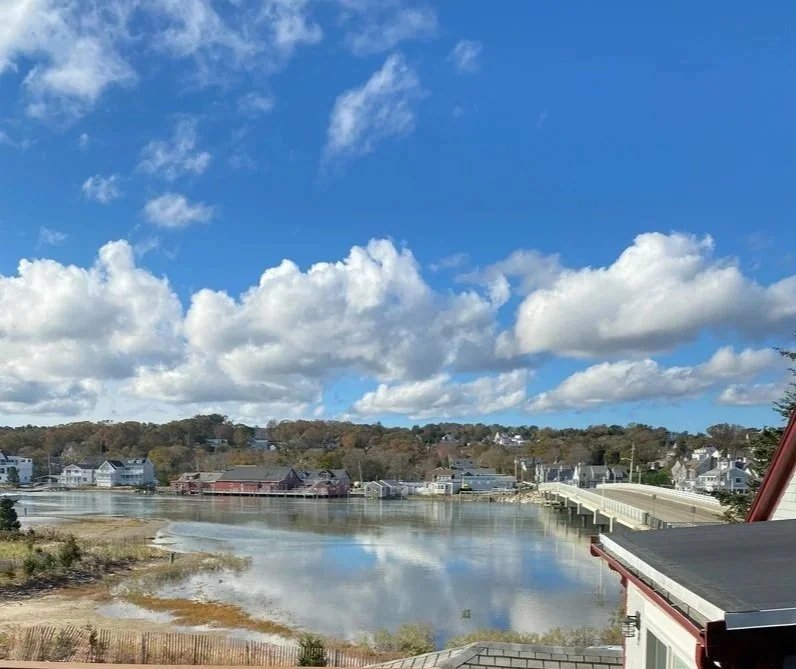 View of a river or lake with trees and residential houses on both sides, a bridge, and a partly cloudy sky reflected in the water.
