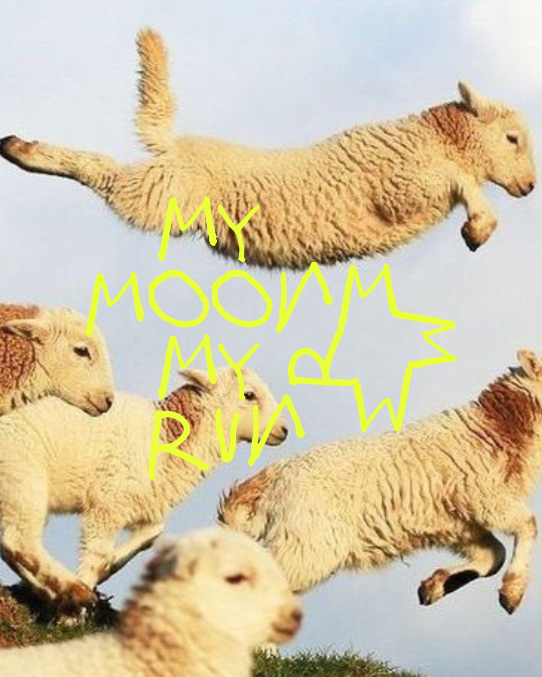 De liefde voor je kudde