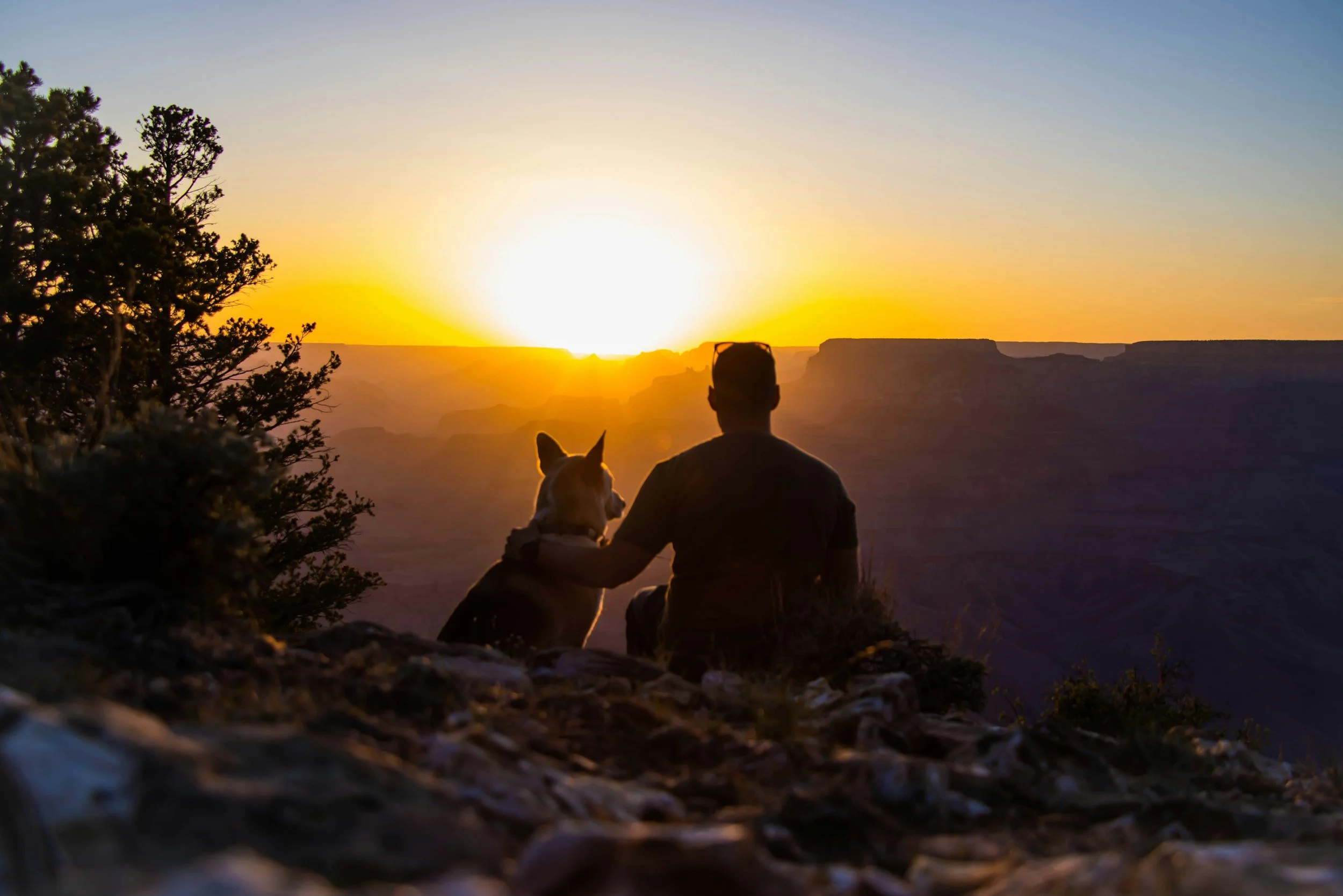 A person and a dog sitting together and watching a sunset over the Grand Canyon.