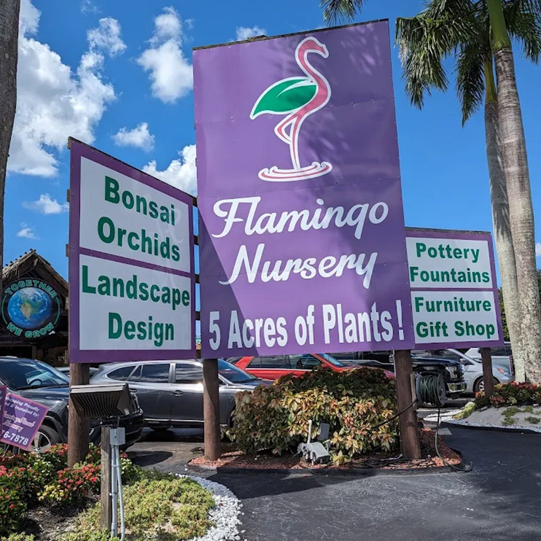 Beginner Bonsai Class @ Flamingo Road Nursery