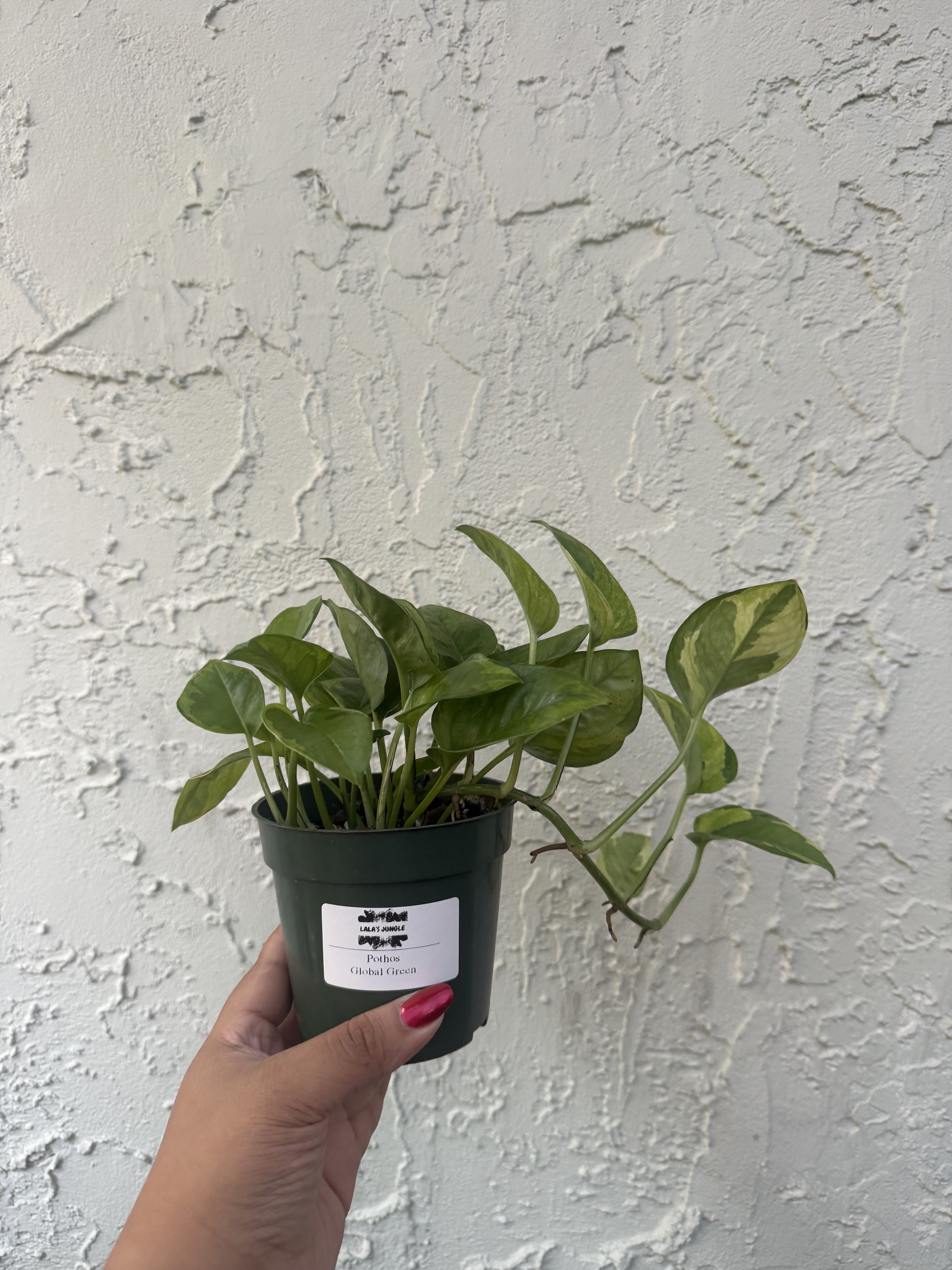 image1 (3).jpeg