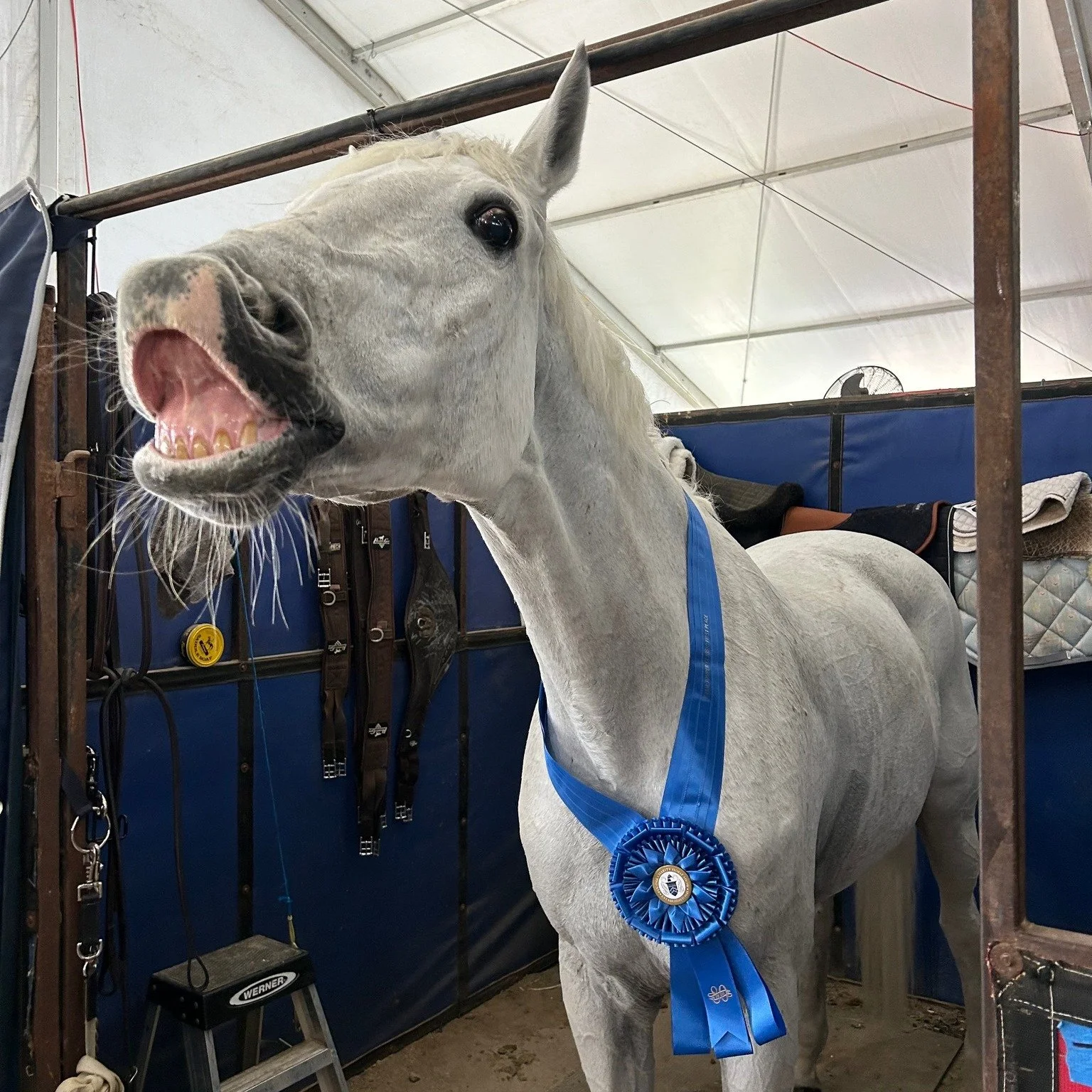 Wishing everyone a wonderful weekend. Happy Easter!