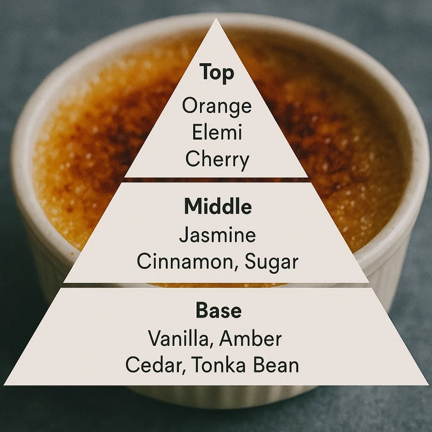 f78ec3c39d80708feb14de4e3a86e024af1de09337f031e0bbeda501a5d94770 (1).webp