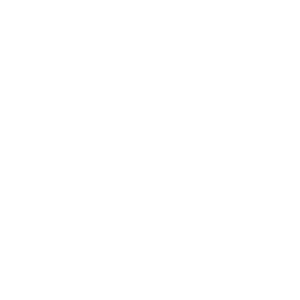 Icon of a document with a gear, a pen, and some lines of text, enclosed in a circle