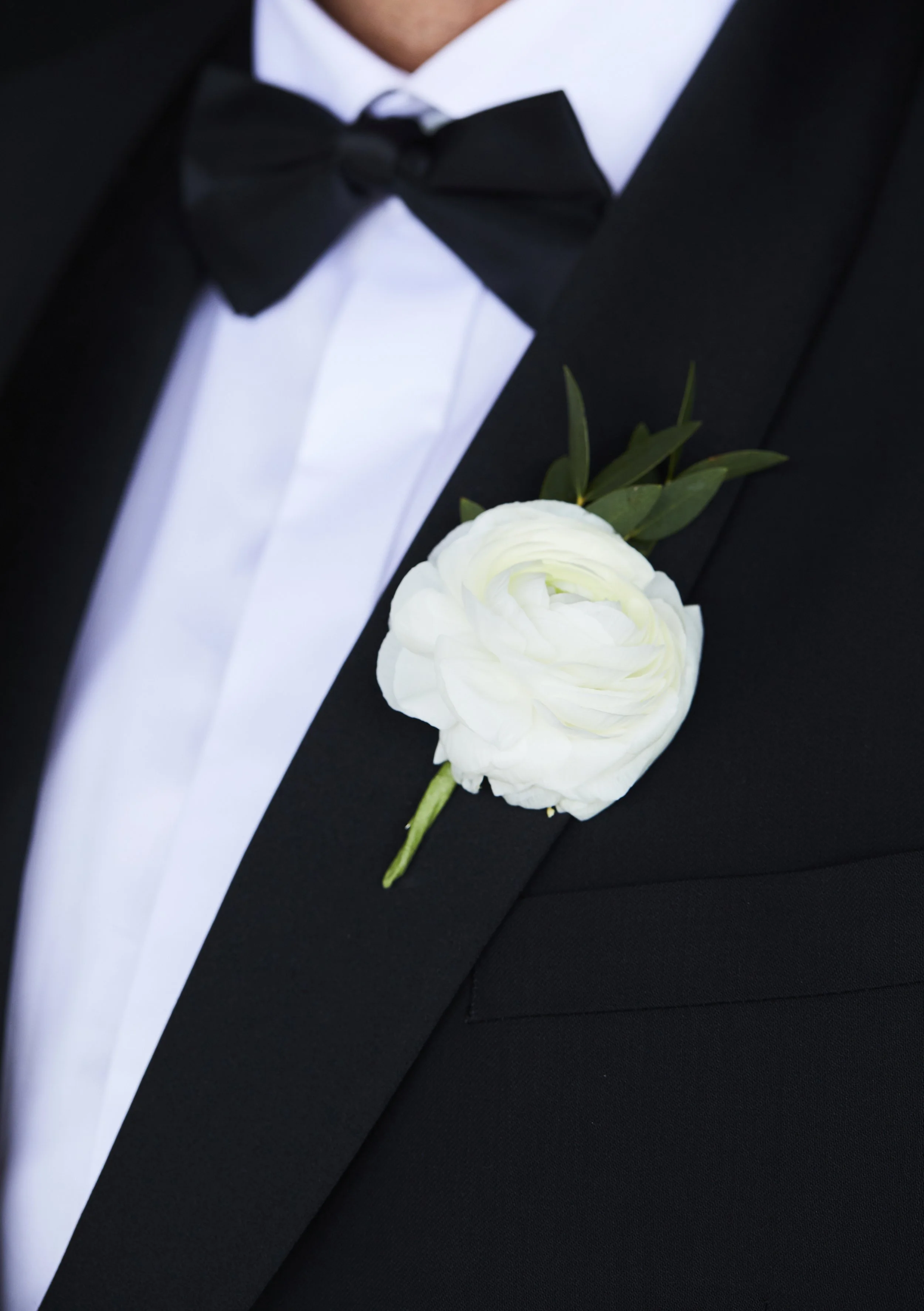 Close-up of a man wearing a black tuxedo, white dress shirt, black bow tie, with a white boutonniere flower and green foliage pinned on the lapel.