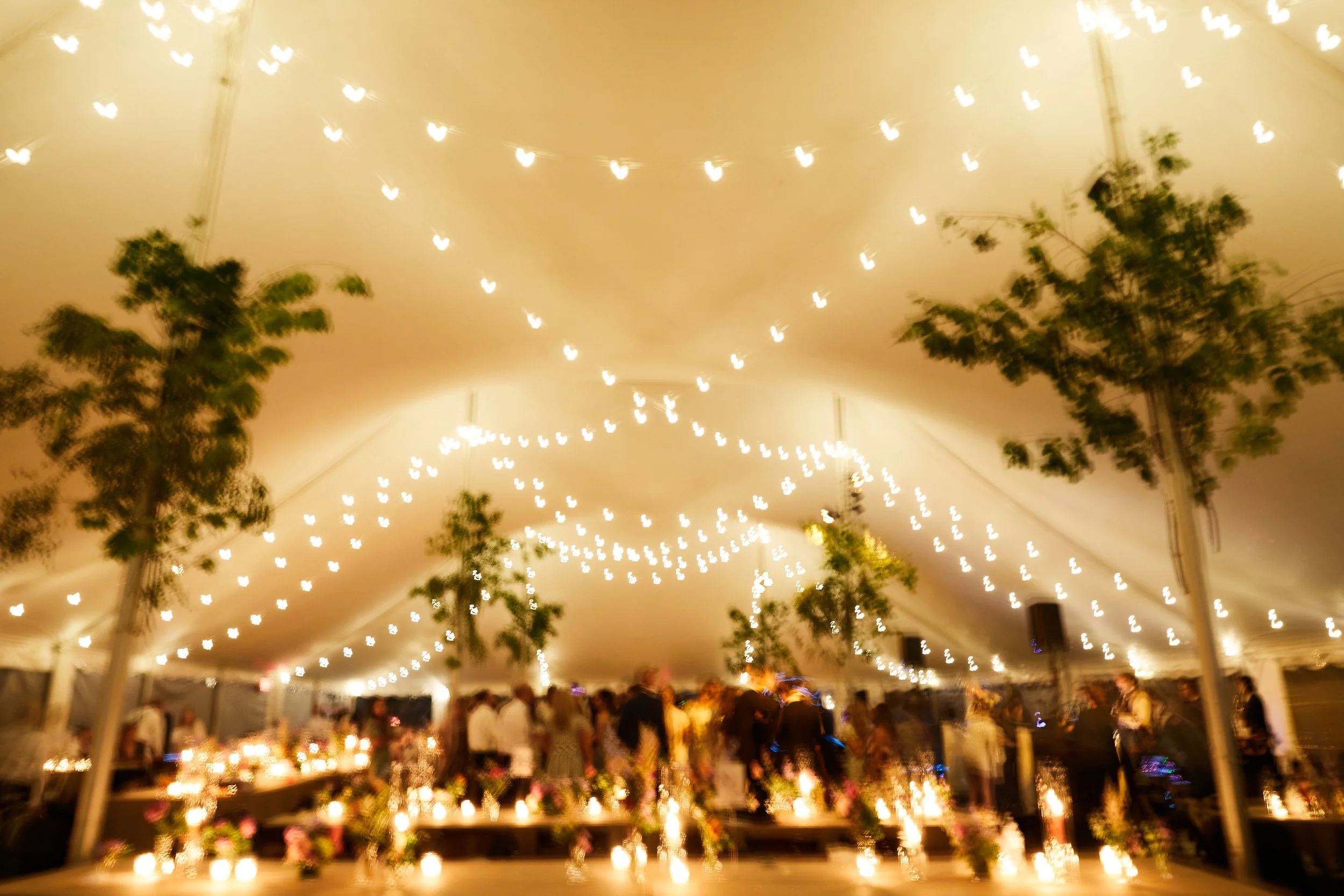Interior of a decorated event tent with string lights and hanging greenery, with people gathered in the background.