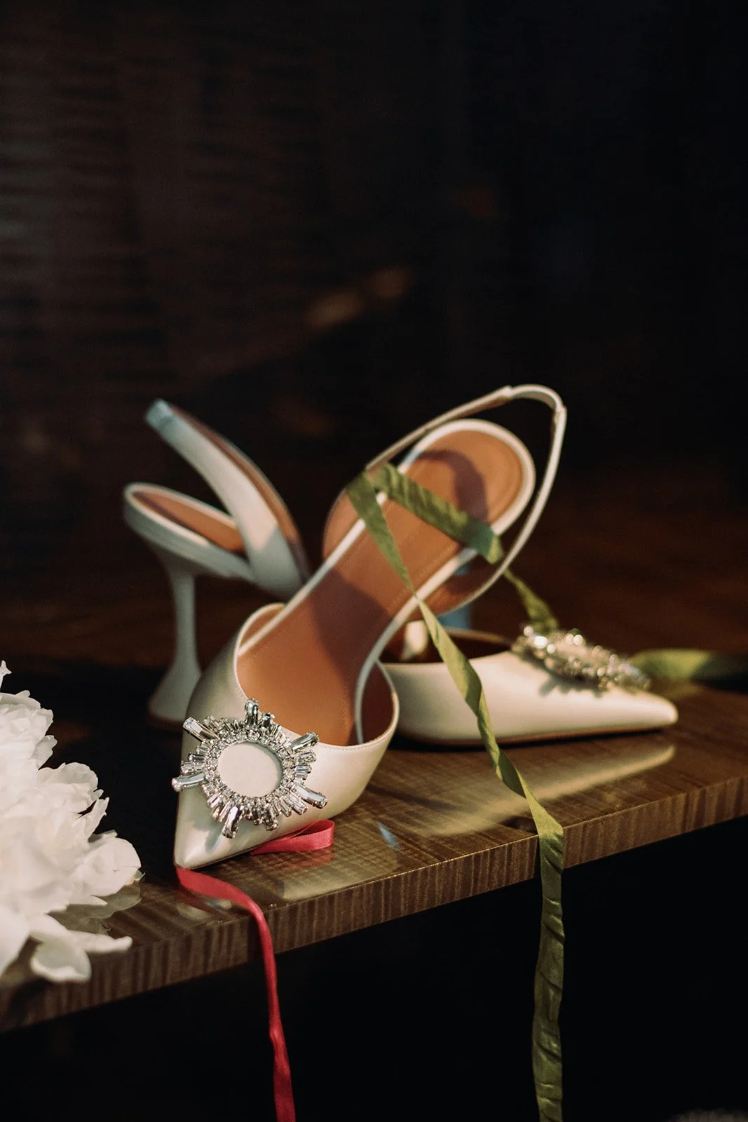 du_soleil_photographie_associates_michele_michael_pocono_palms_preview-3.jpg