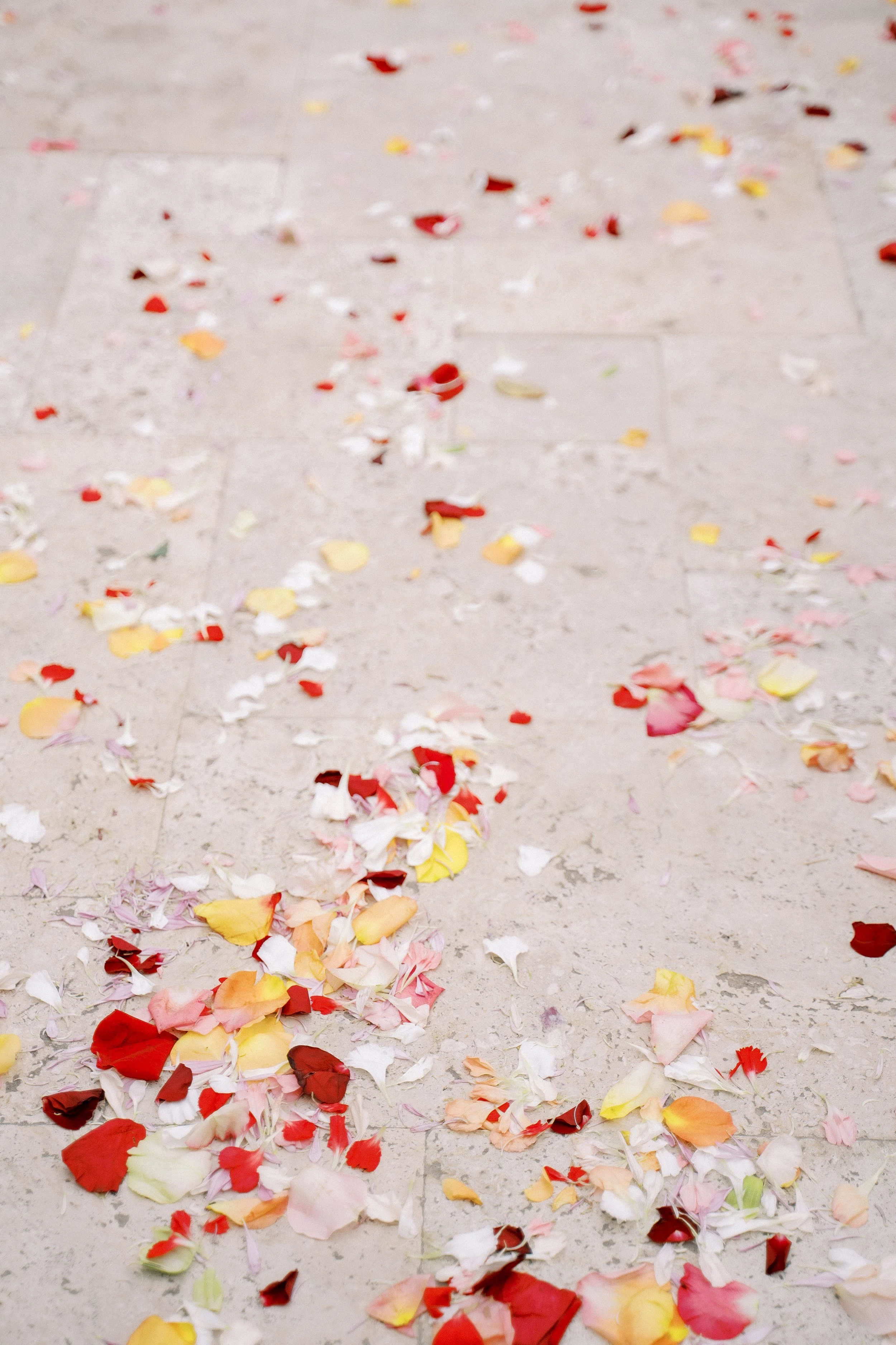 Petal Toss Domaine Pterion.JPG