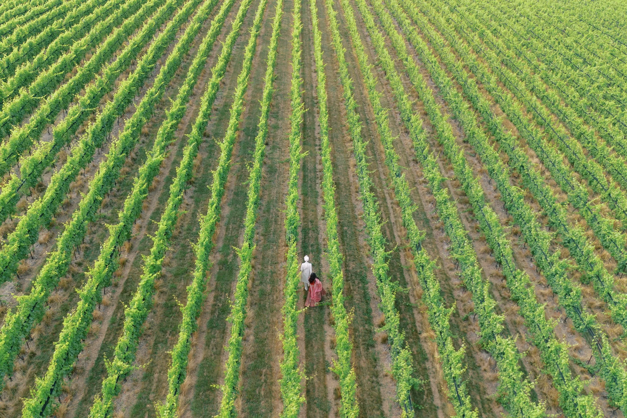 Drone Wedding Shot at Domaine Pterion.JPG