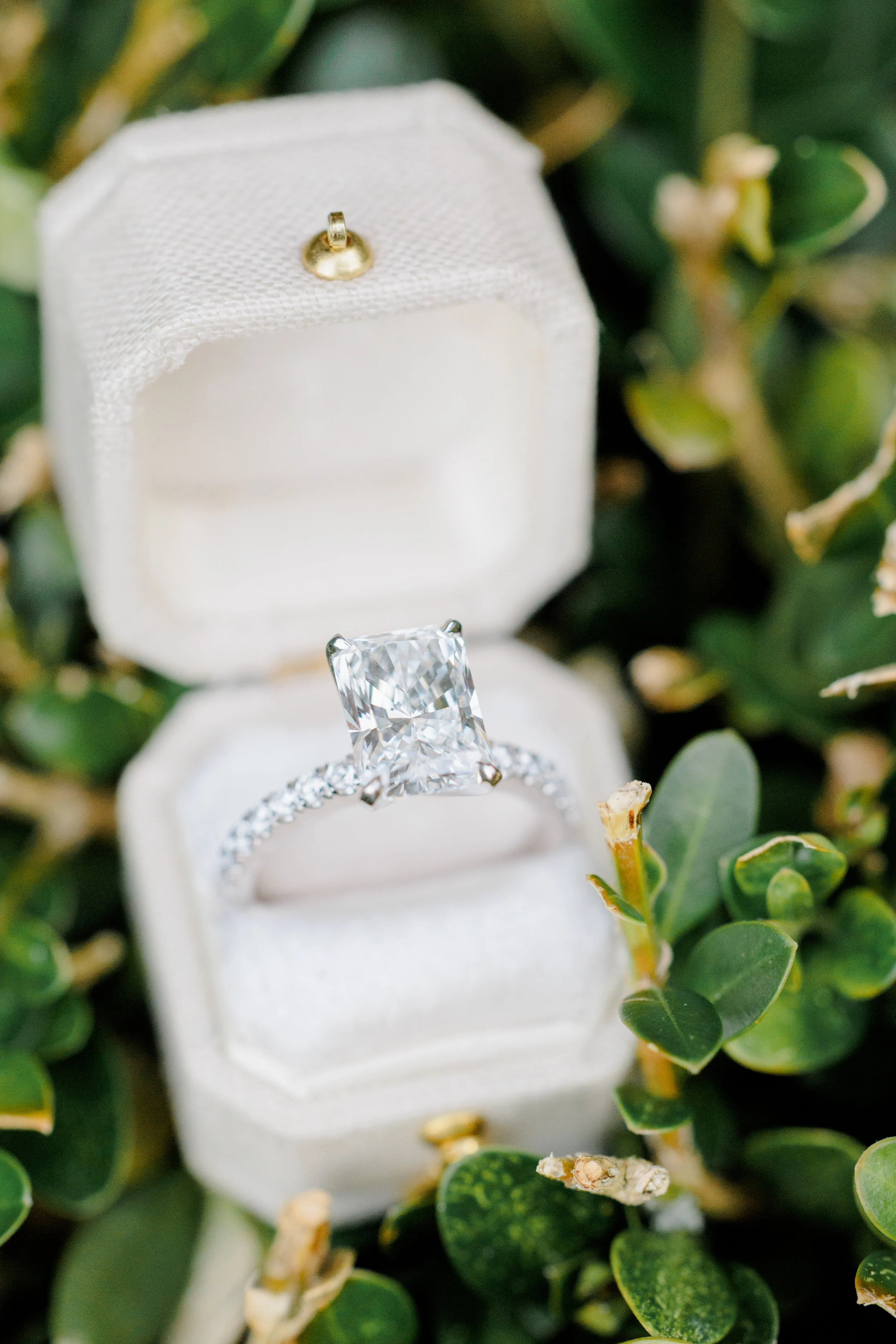 Newly Engaged Couples Wedding Planning
