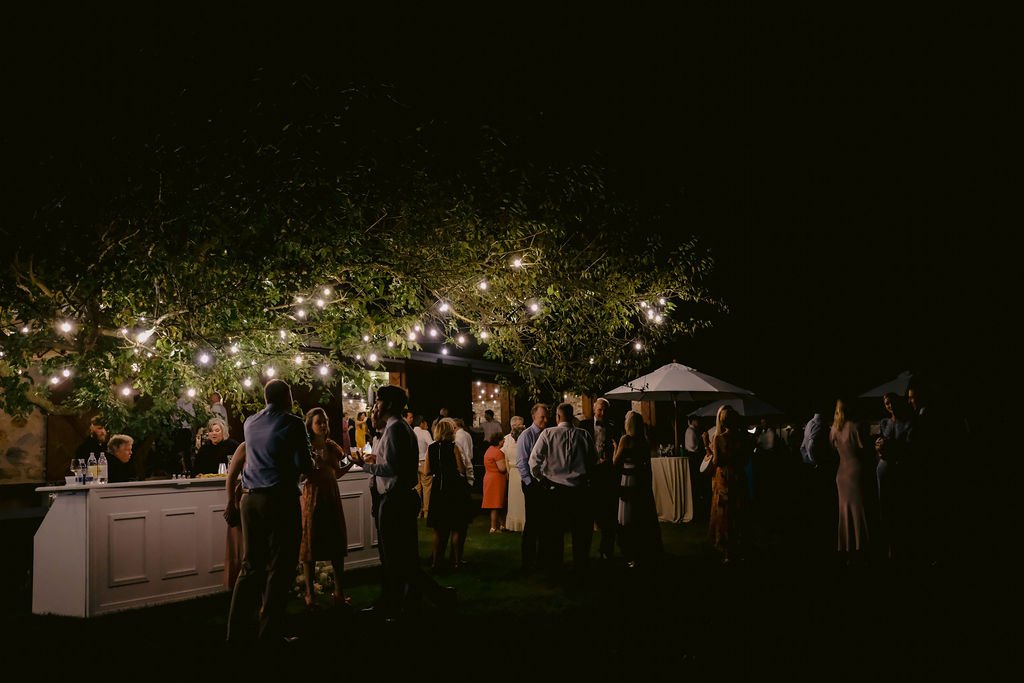 Cocktail Hour with String Lights.jpg