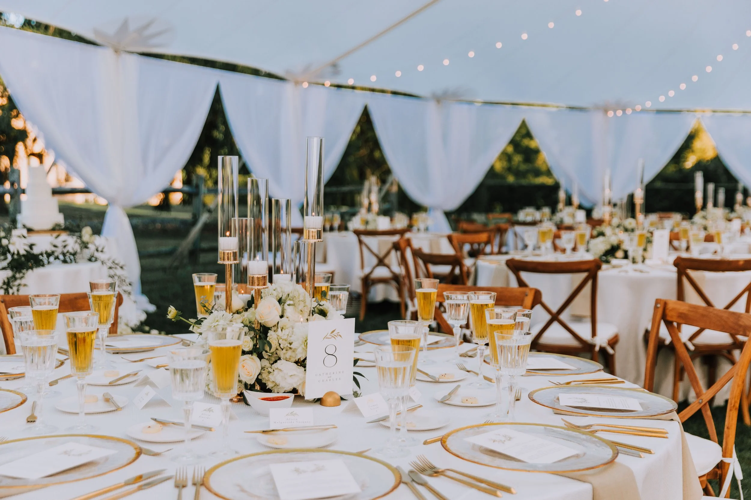 Tent Reception Details with White Draping.jpg