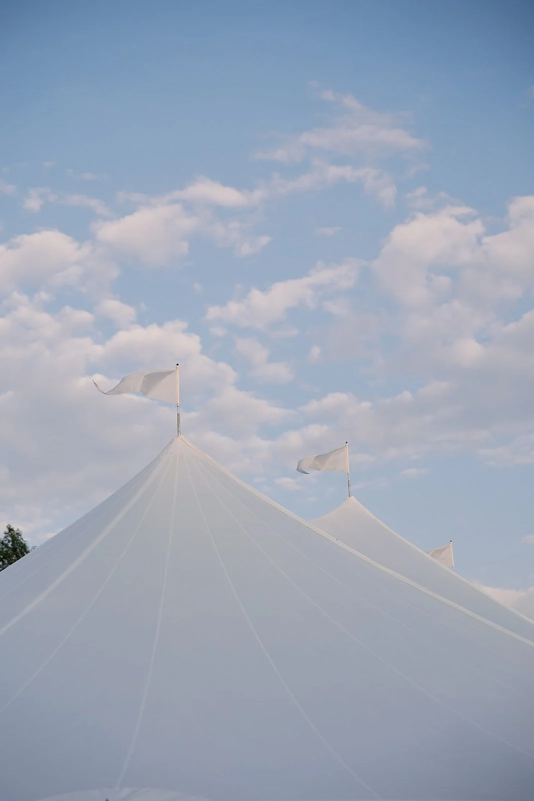 Sailcloth Tented Wedding Reception Planner.jpg