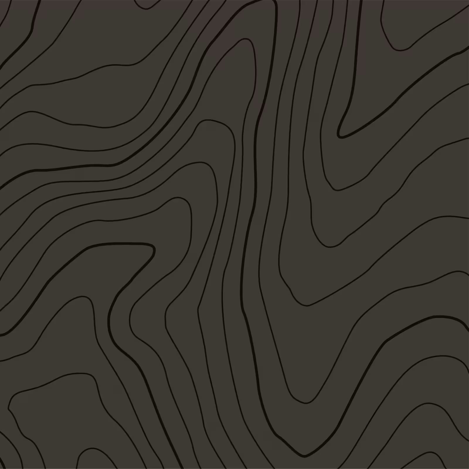 Dark topographic map with thin contour lines.