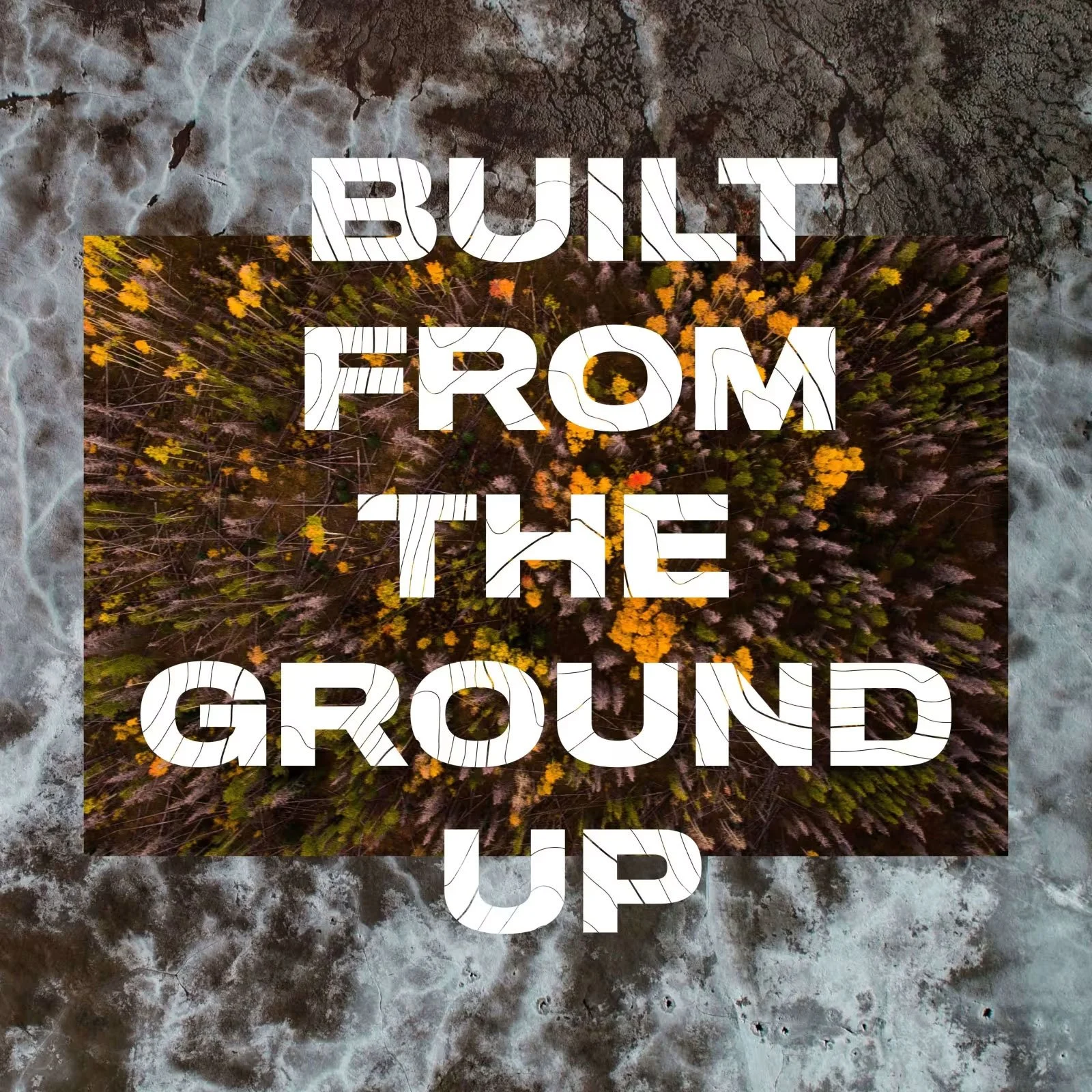 An aerial view of a forest with trees in autumn colors, overlaid with text that reads 'BUILT FROM THE GROUND UP' in large white letters with a cracked texture.