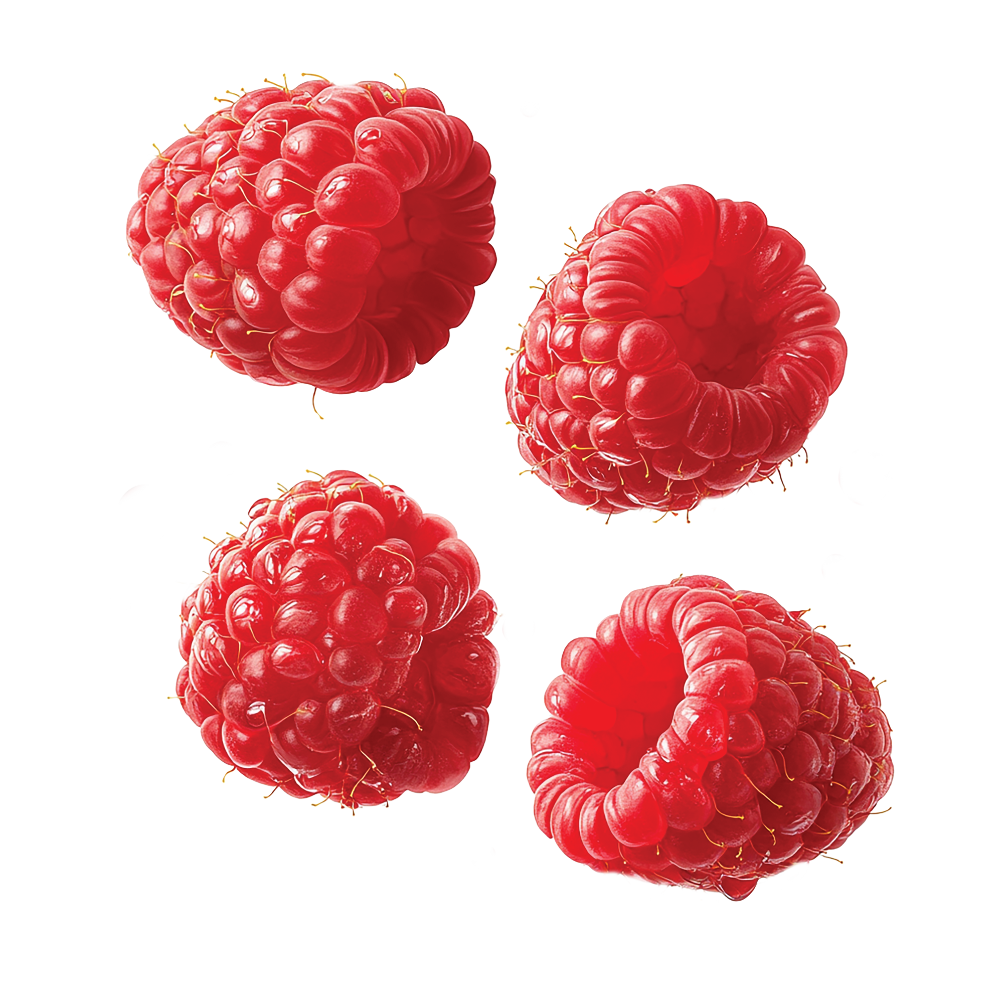 Four fresh raspberries with detailed texture and vibrant red color, isolated on a white background.