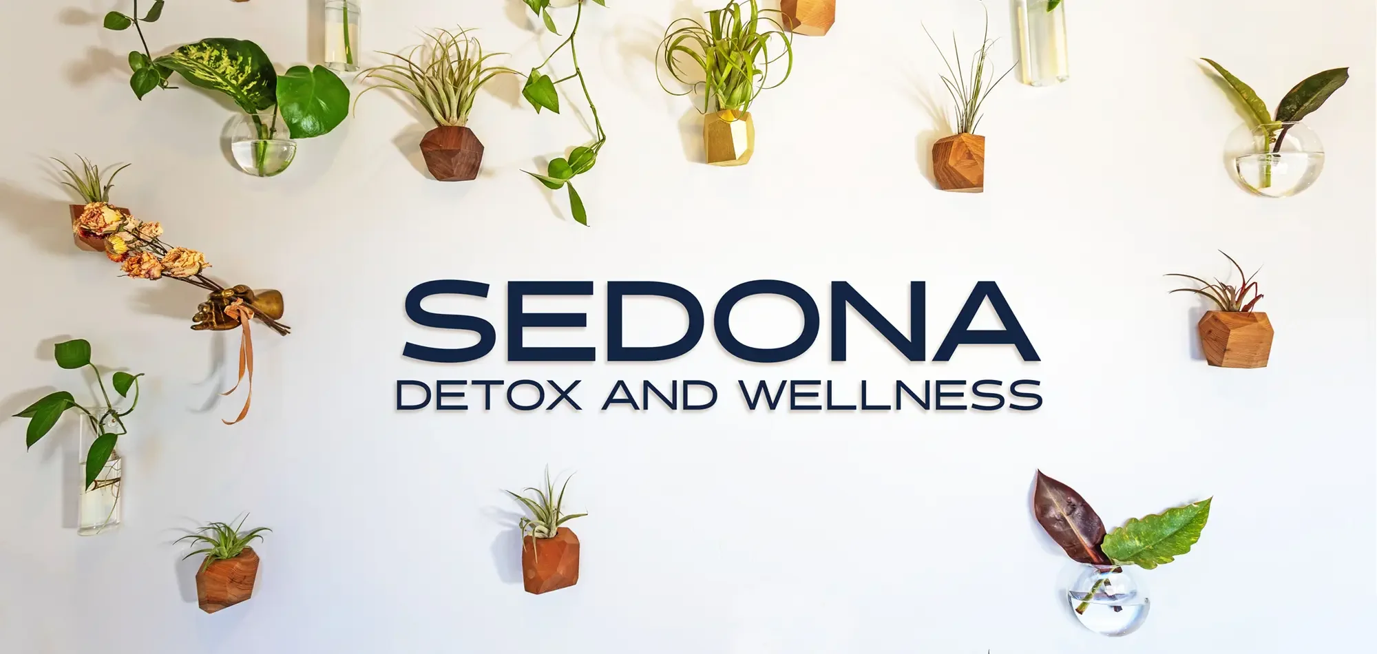 Wall decorated with various hanging and potted plants, with the text "SEDONA DETOX AND WELLNESS" centered among the plants.