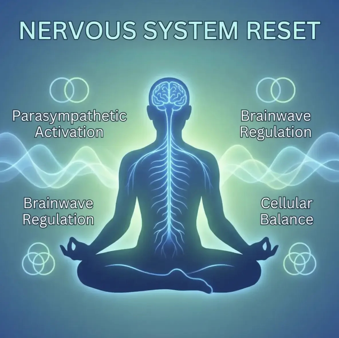 Nervous System Reset & Recovery Circuit