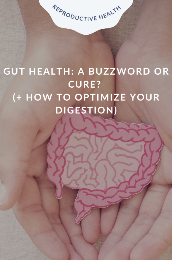 Gut Health: A Buzzword or Cure? (+ How to Optimize your Digestion)