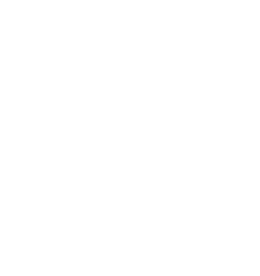 The Globe & Mail Logo