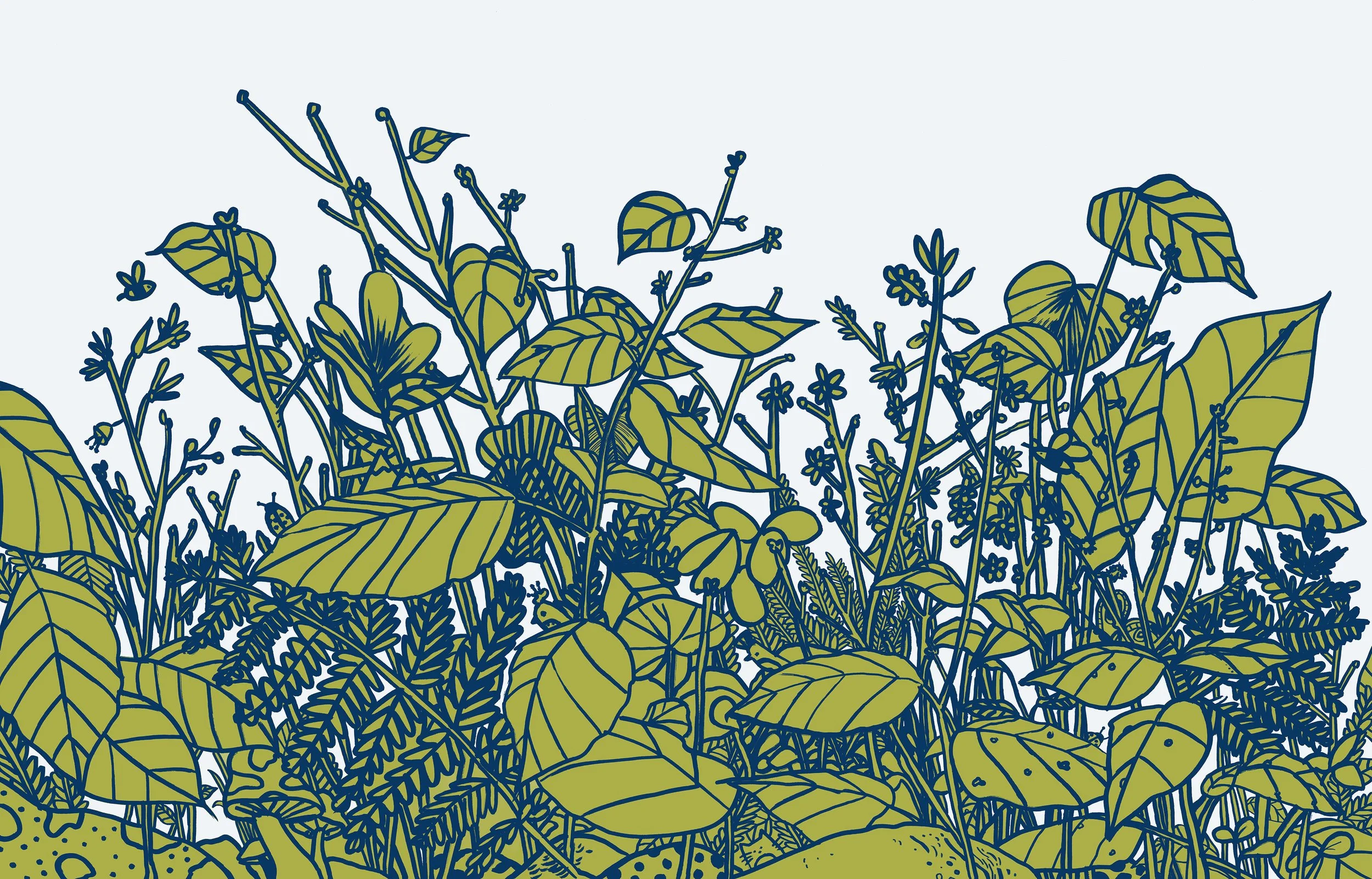 Mural design for Astek Wallcovering.