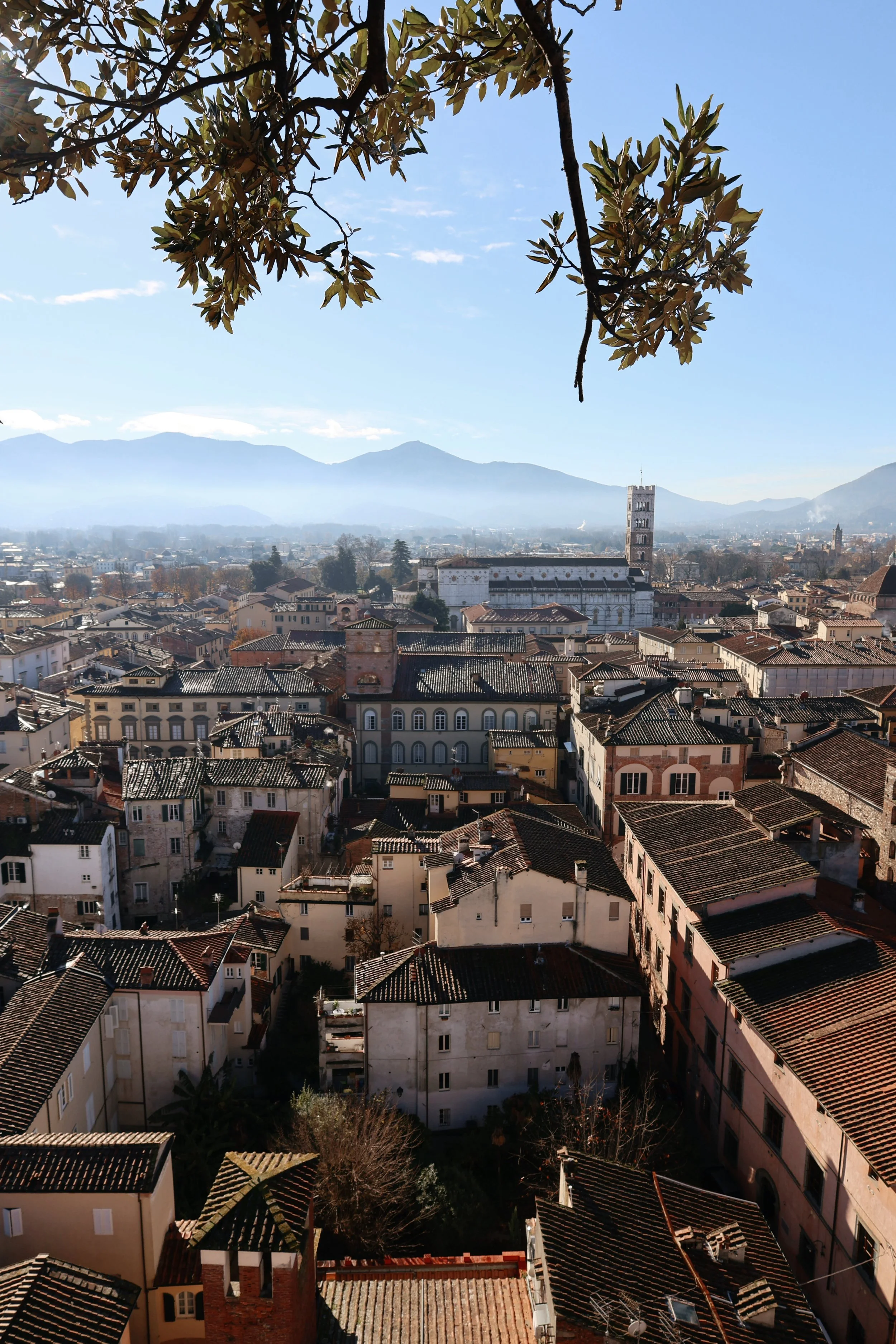 The Ultimate Travel Guide to Lucca, Italy