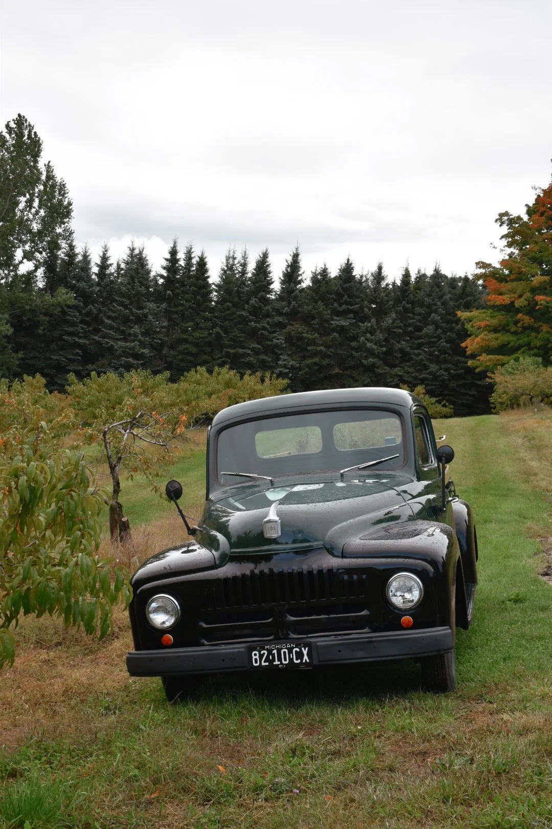 The Ultimate Travel Guide to Traverse City, Michigan