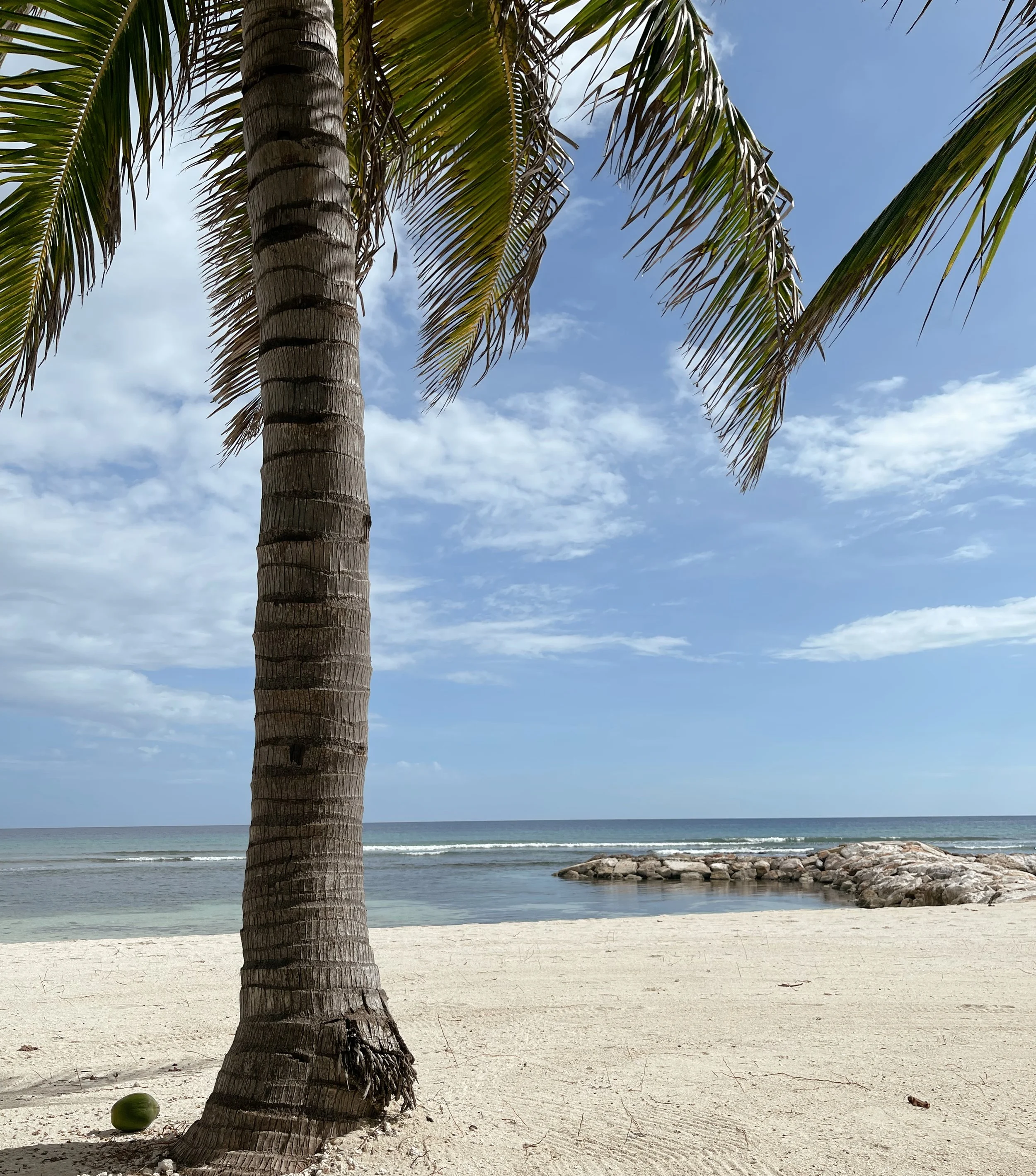 The Ultimate Travel Guide to Montego Bay, Jamaica