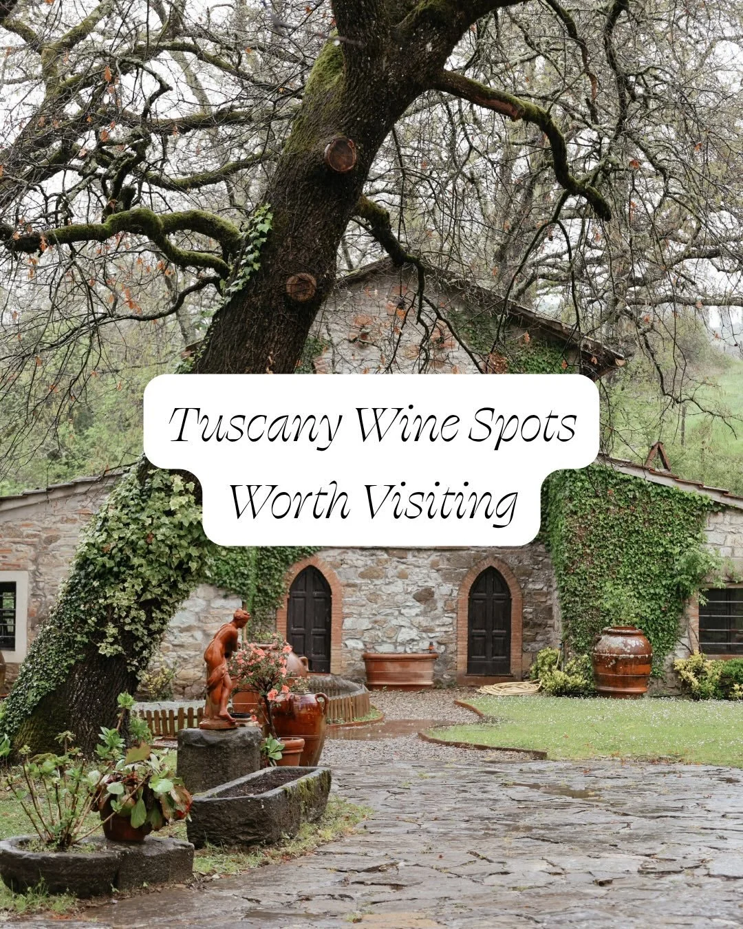 The Tuscany Wine Edit ✨🇮🇹🍷

Tuscany is one of those places where every turn leads to another vineyard, another view, and another glass worth slowing down for✨

From historic estates to small, family-run wineries, these are a few wine tasting spots
