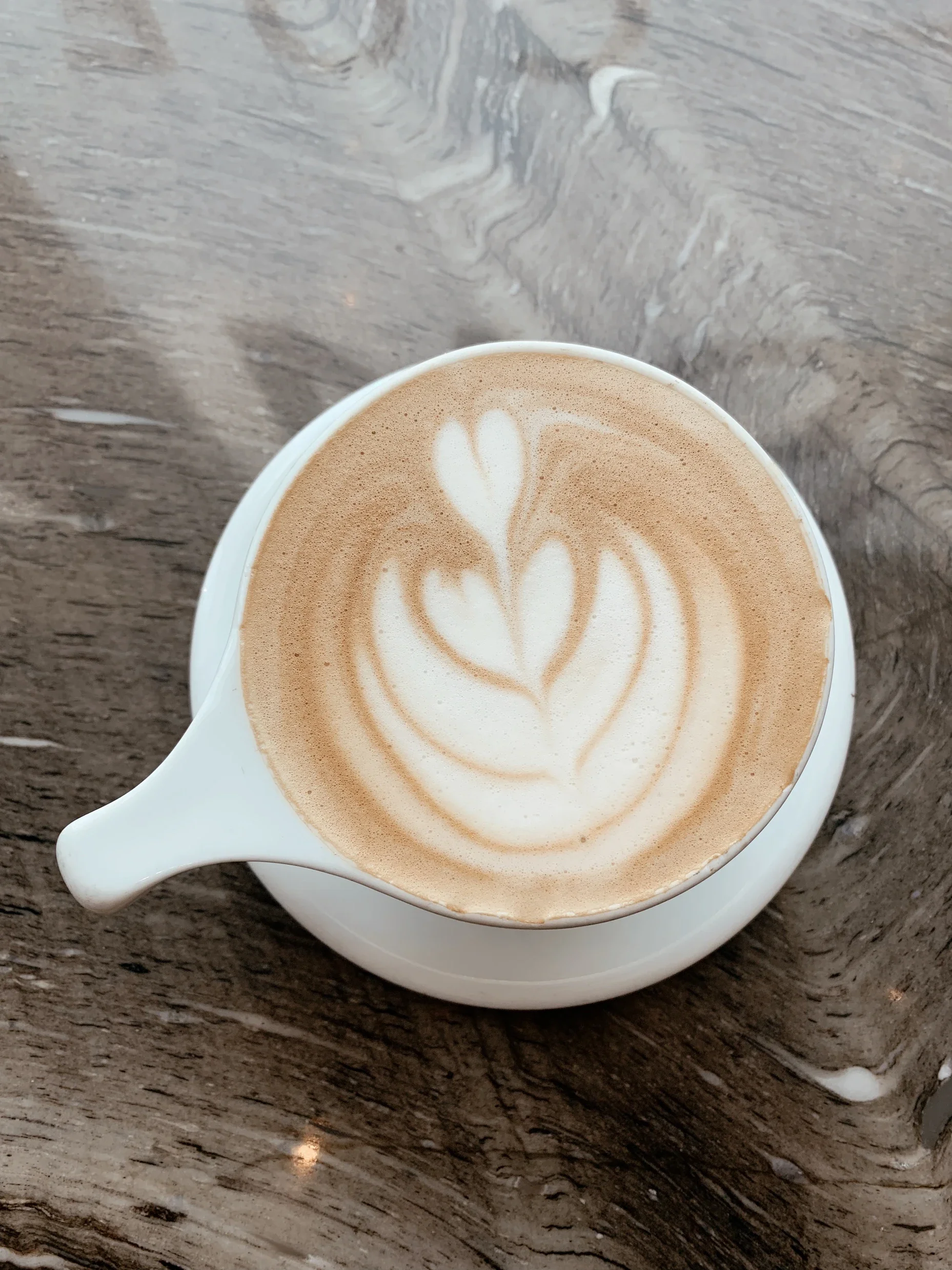 Must-Visit Coffee Shops in Tampa