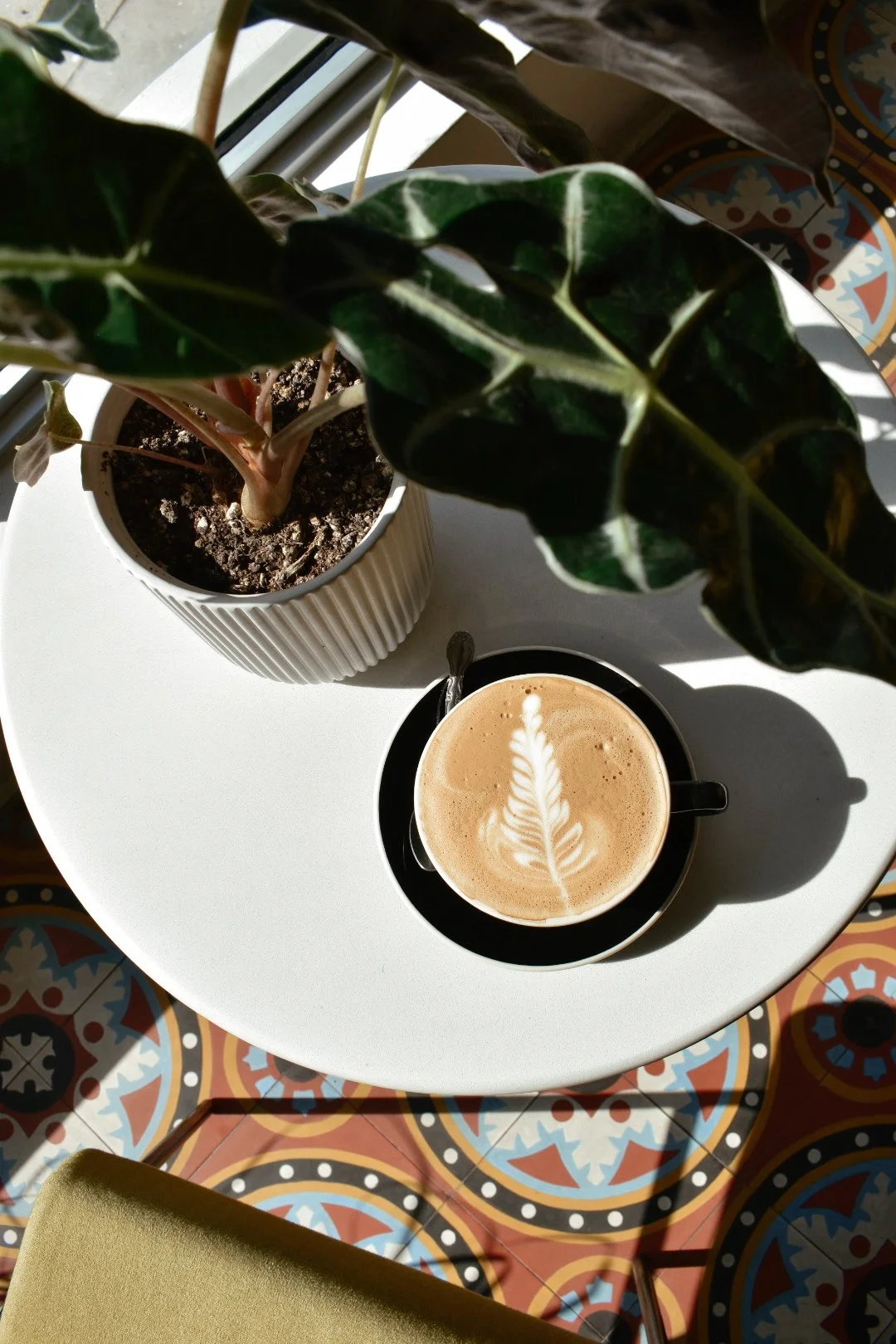 Must-Visit Coffee Shops in Miami