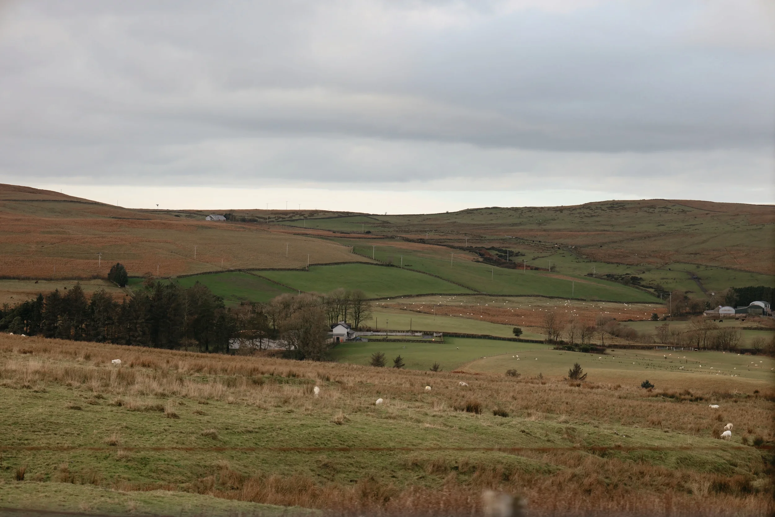 The Ultimate Travel Guide to Northern Ireland — Travel & Brew