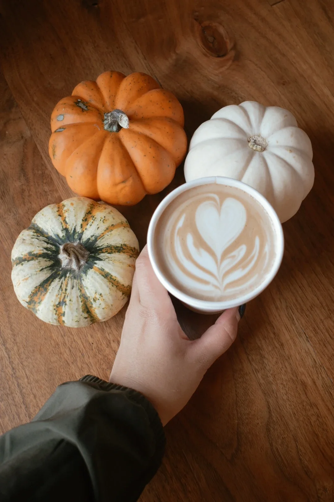 Must-Visit Coffee Shops in Nashville