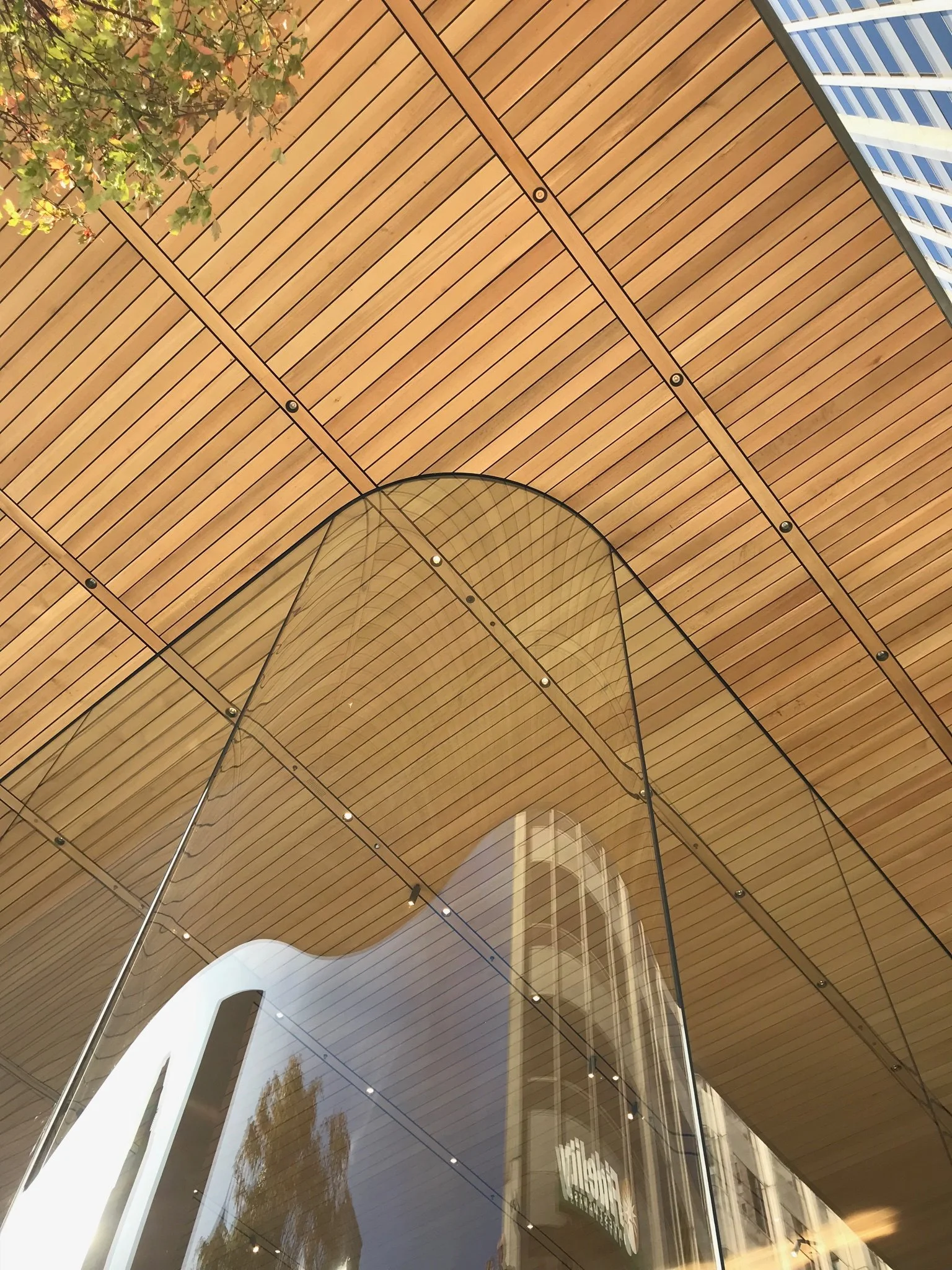 Architectural photo of a modern building with curved glass windows, a wood-paneled ceiling with visible screws, and reflections of trees and surrounding structures.