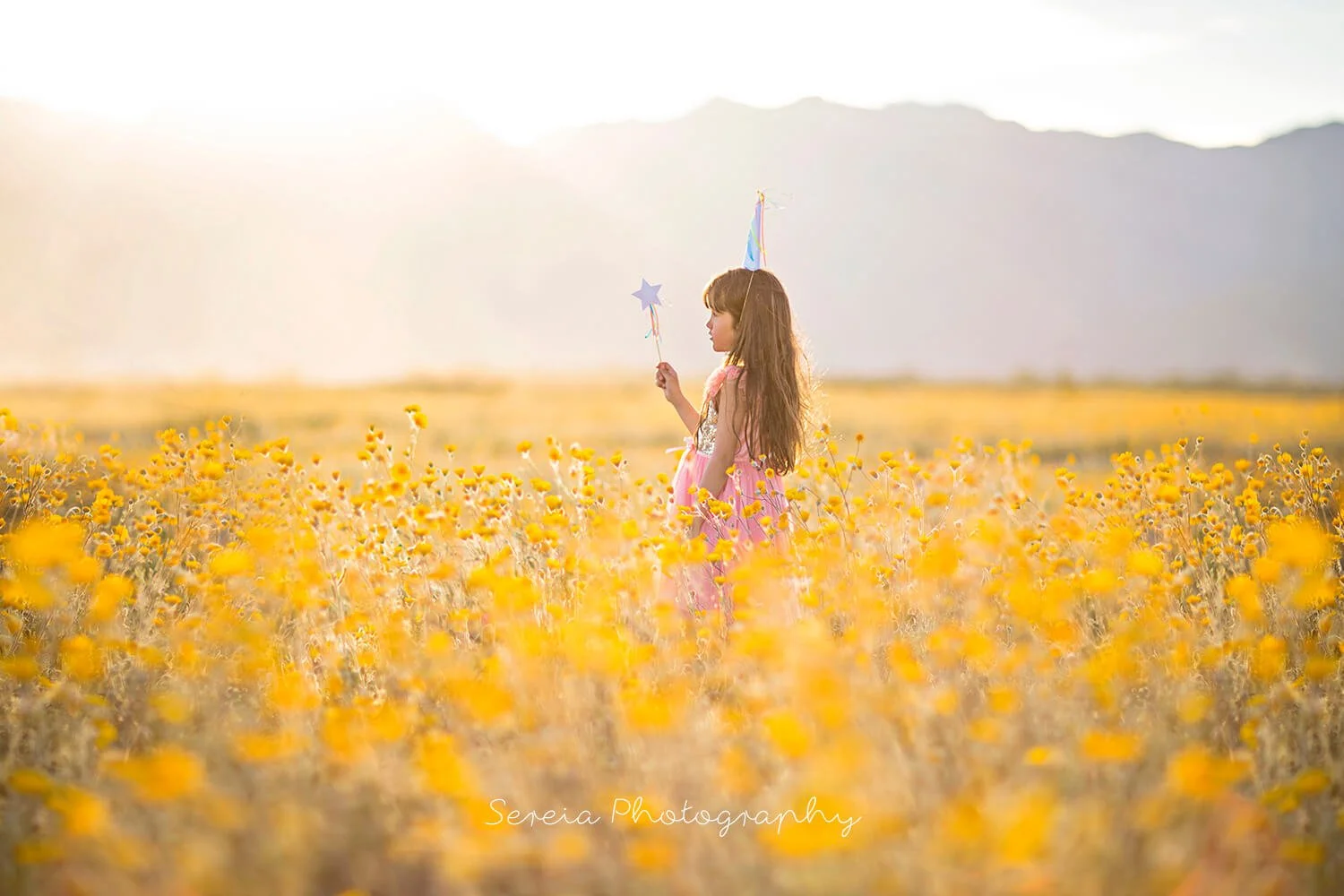 From Passion to Purpose: My Journey as a Family Photographer