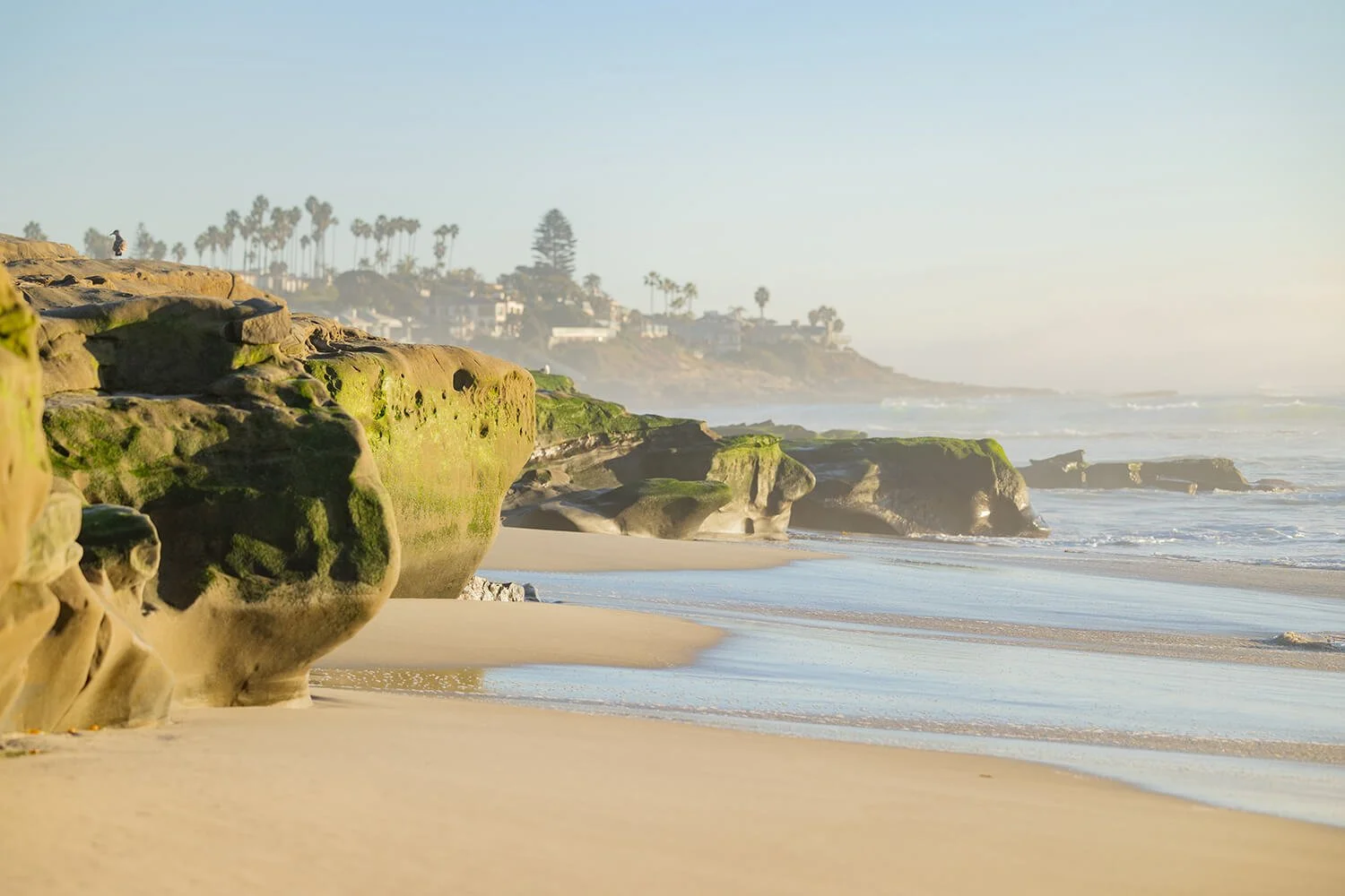 The 5 Best Beaches to Photograph in San Diego
