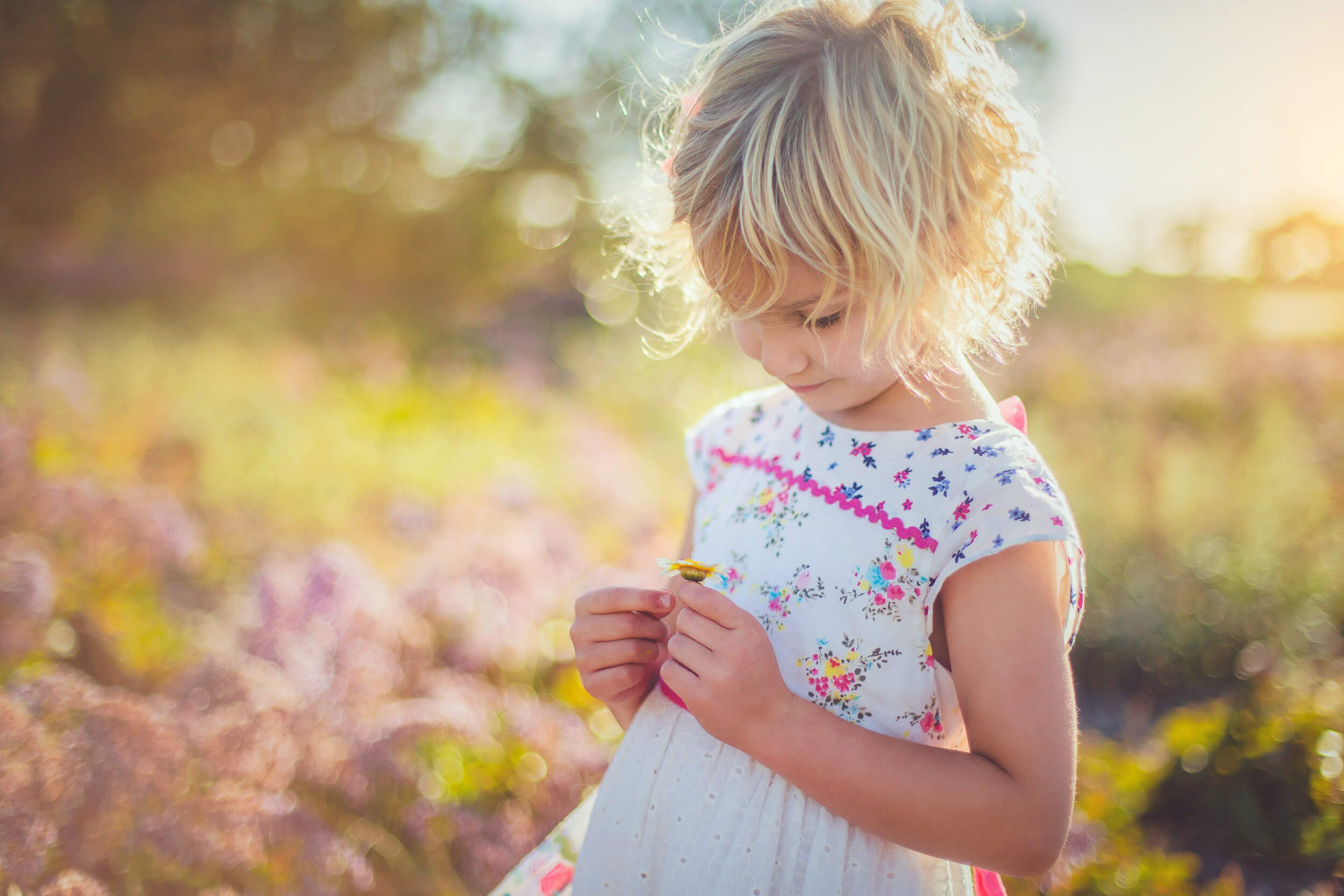A young girl with blonde, curly hair looking at a small yellow flower she is holding in her hands outdoors during sunset.
